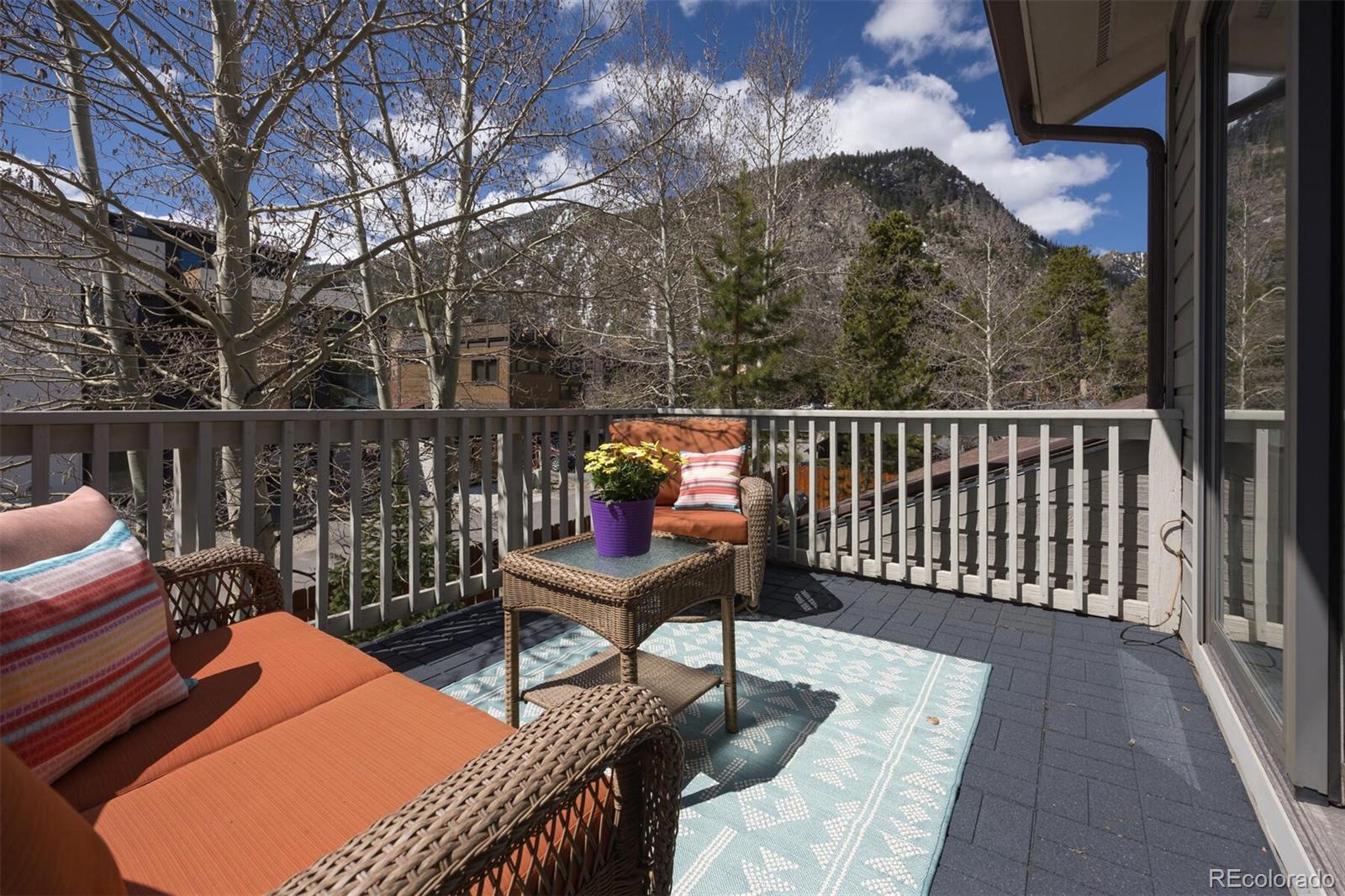 MLS Image #20 for 311 s 3rd avenue,frisco, Colorado