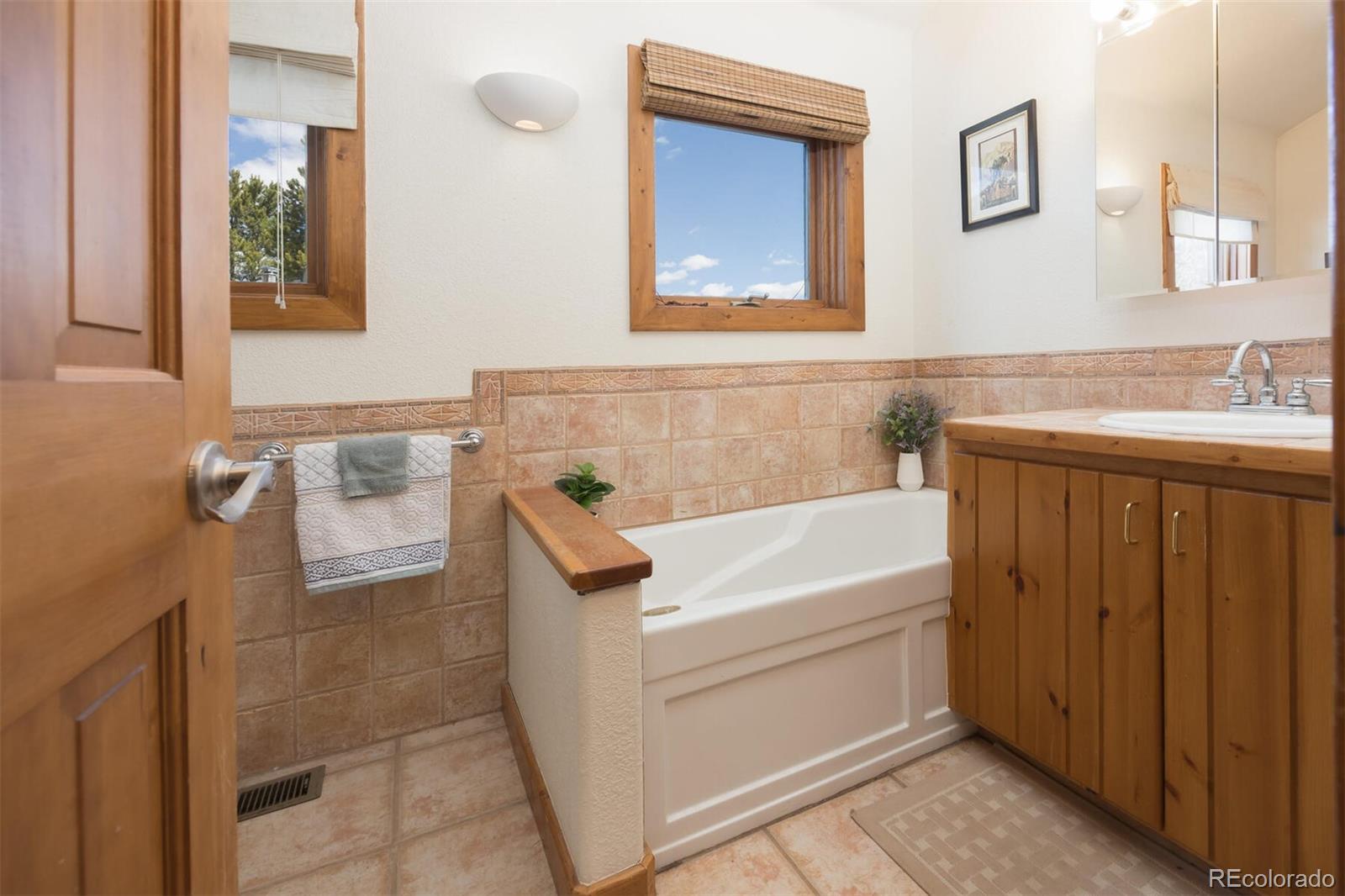 MLS Image #21 for 311 s 3rd avenue,frisco, Colorado