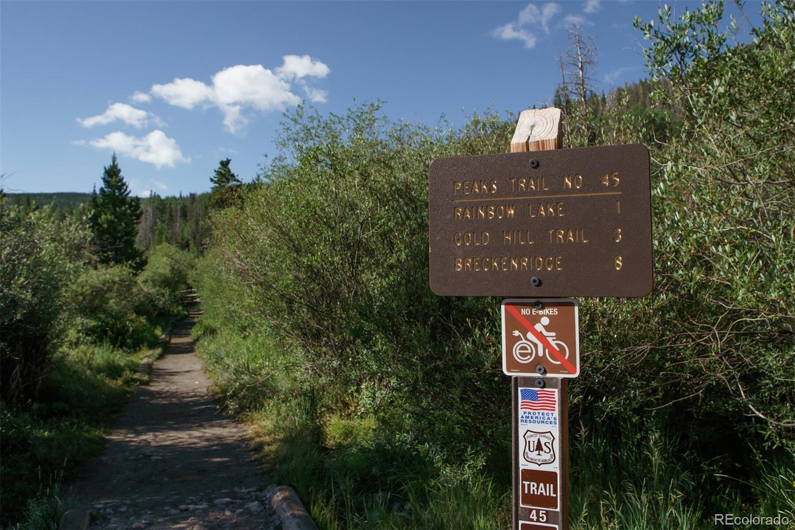 MLS Image #41 for 311 s 3rd avenue,frisco, Colorado