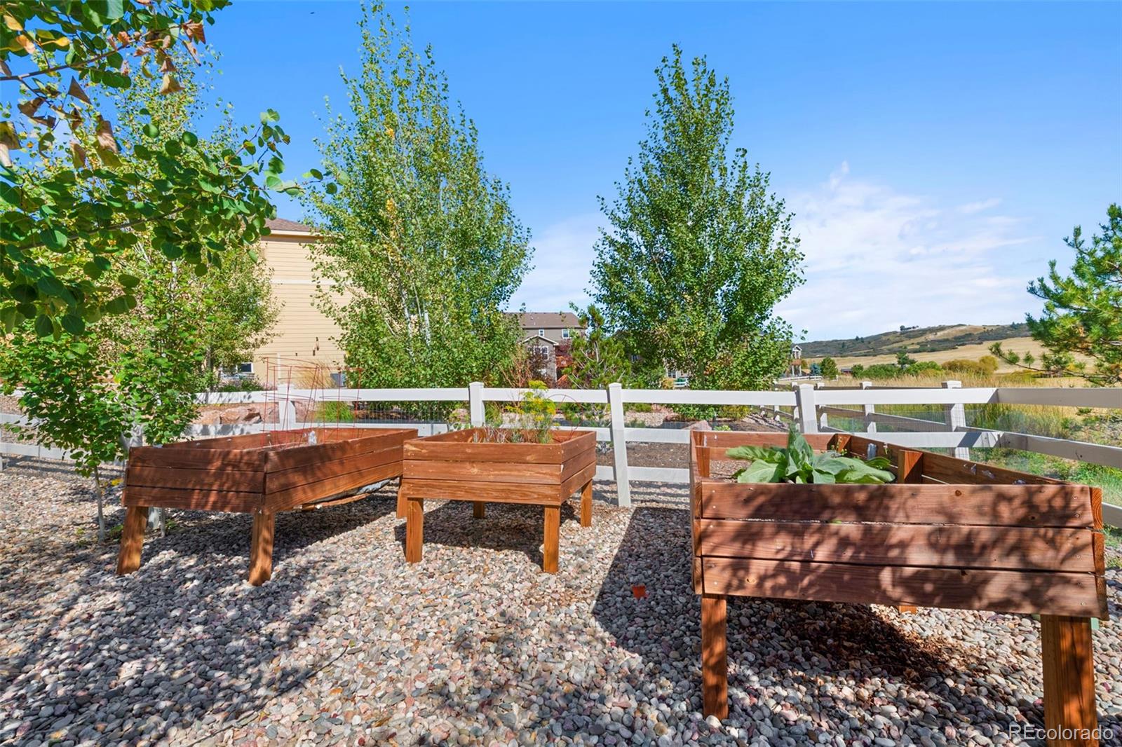 MLS Image #40 for 6086  clover park court,castle rock, Colorado