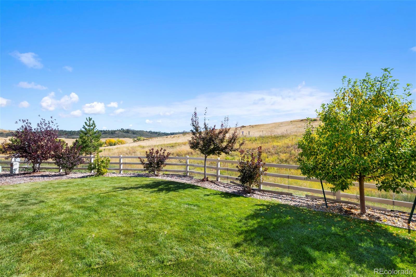 MLS Image #46 for 6086  clover park court,castle rock, Colorado