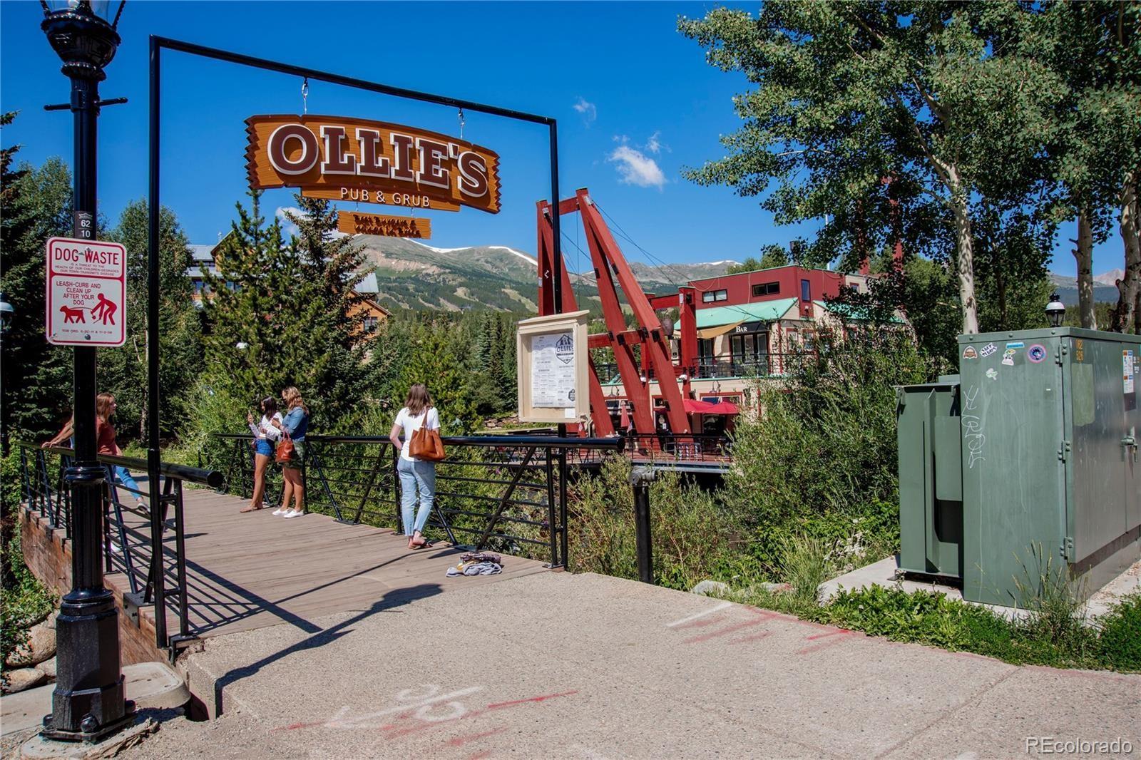 MLS Image #36 for 476  highwood circle,breckenridge, Colorado