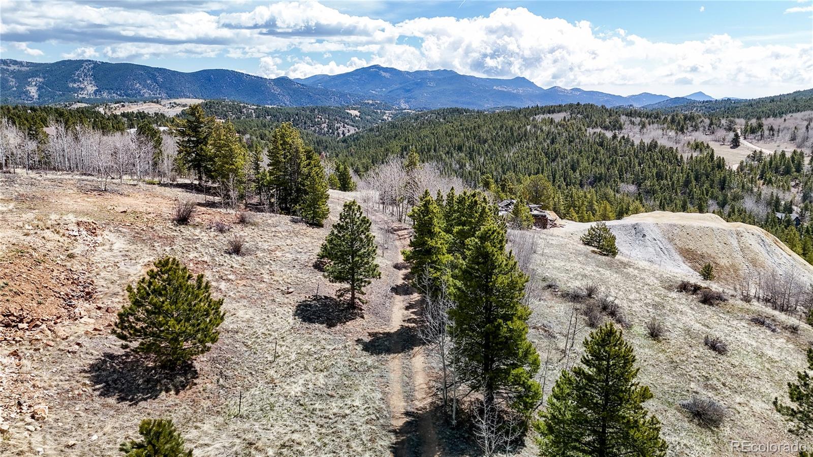 MLS Image #16 for 131  russel gulch road,central city, Colorado
