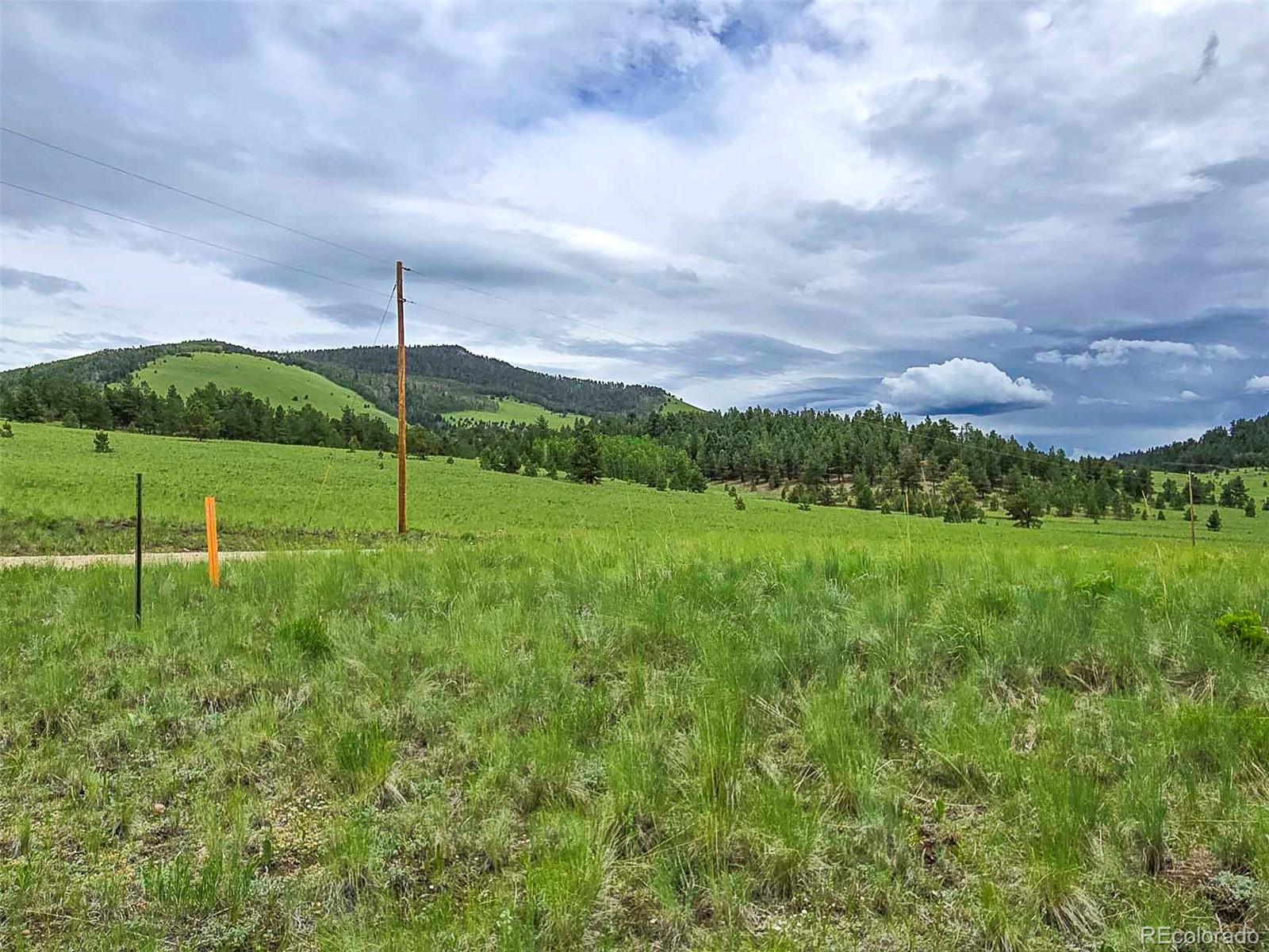 MLS Image #36 for 2529  julia road,guffey, Colorado