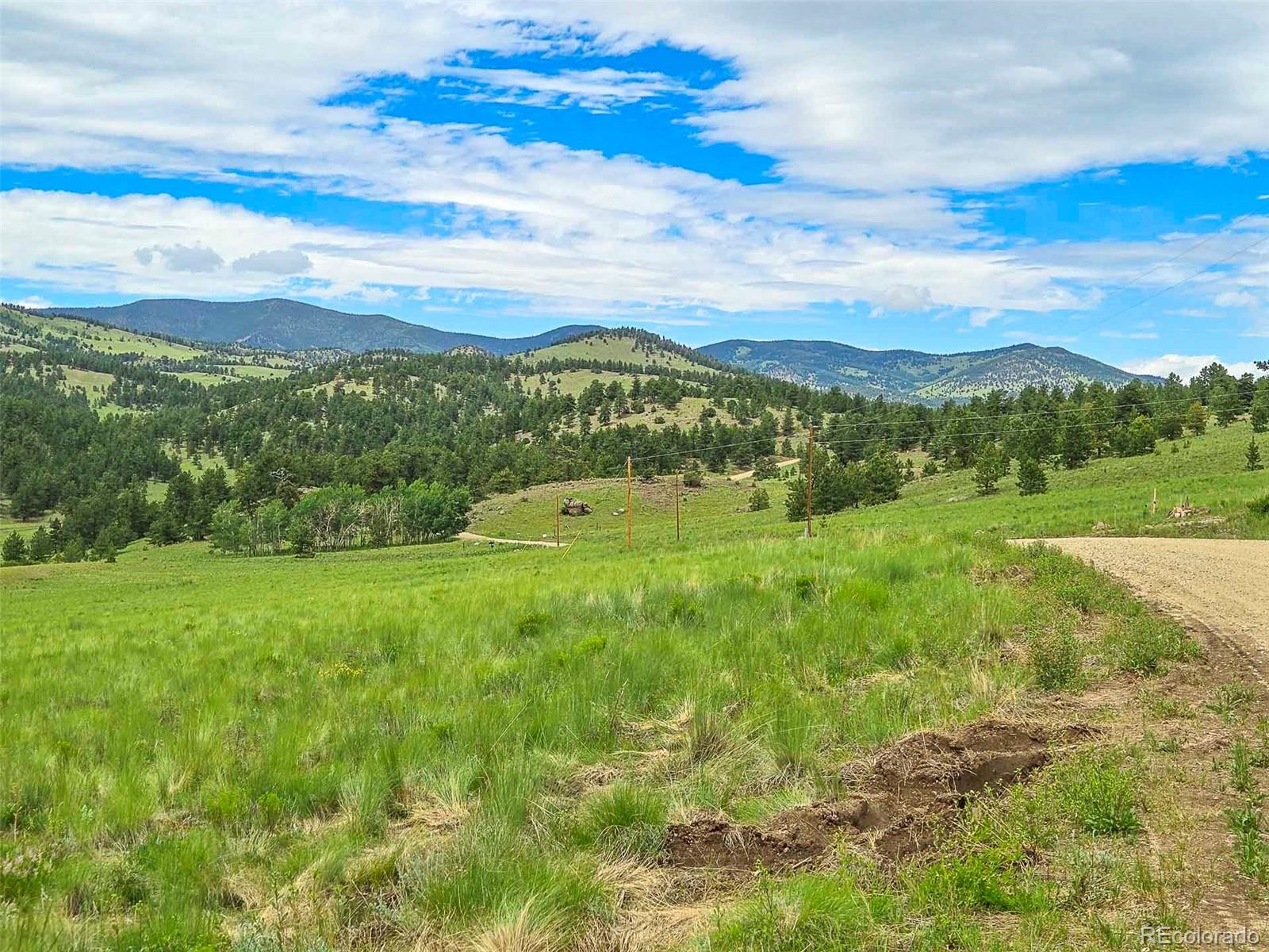 MLS Image #37 for 2529  julia road,guffey, Colorado