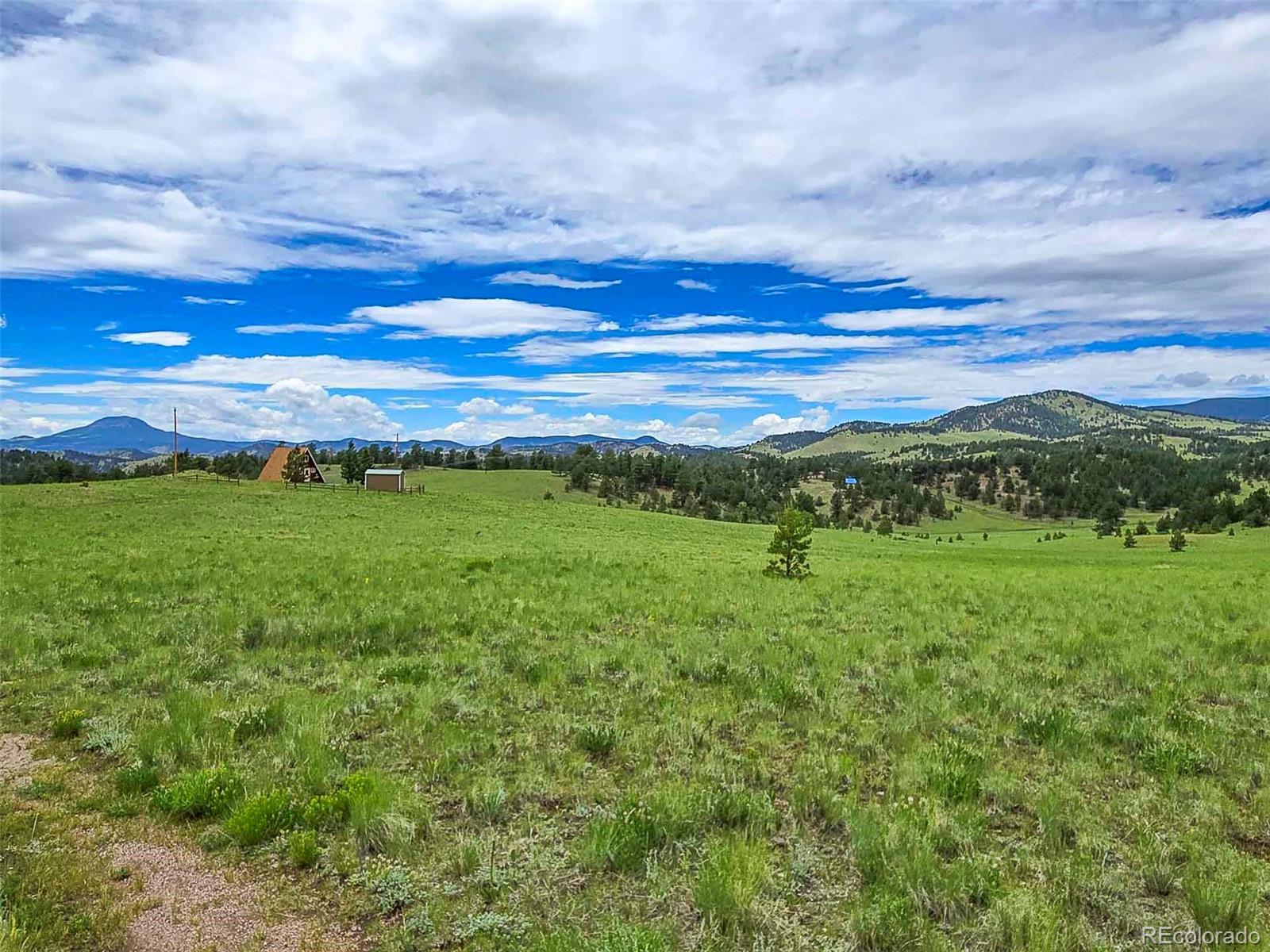 MLS Image #40 for 2529  julia road,guffey, Colorado