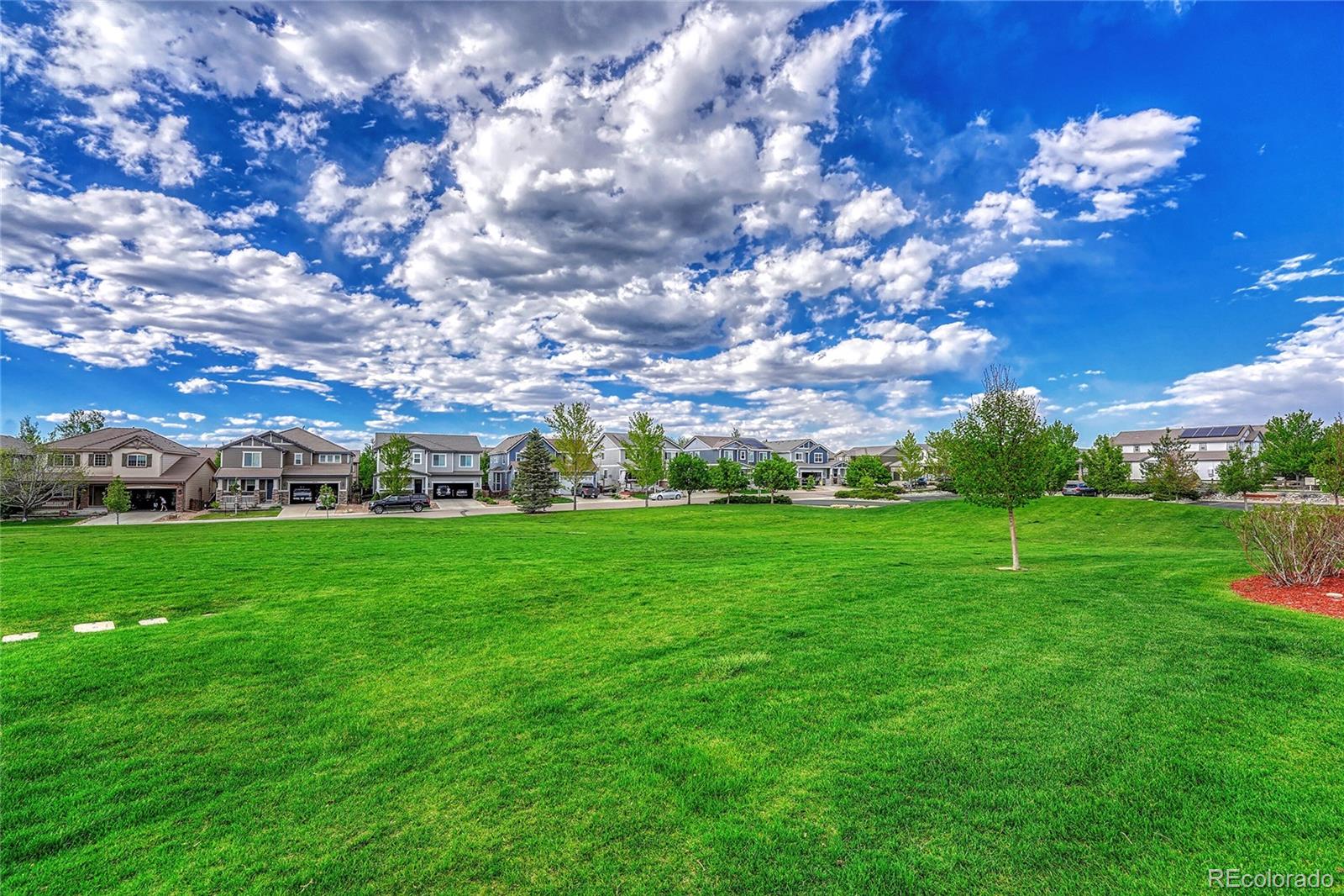 MLS Image #48 for 10448  ashgrove way,parker, Colorado