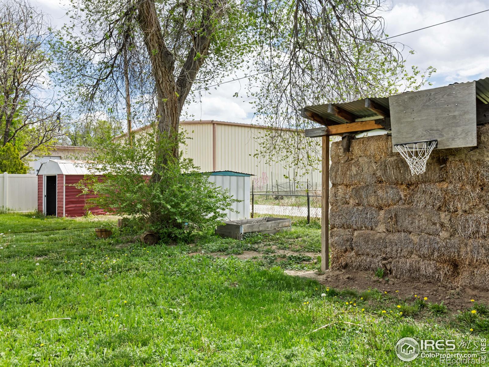 MLS Image #6 for 210  2nd street,frederick, Colorado