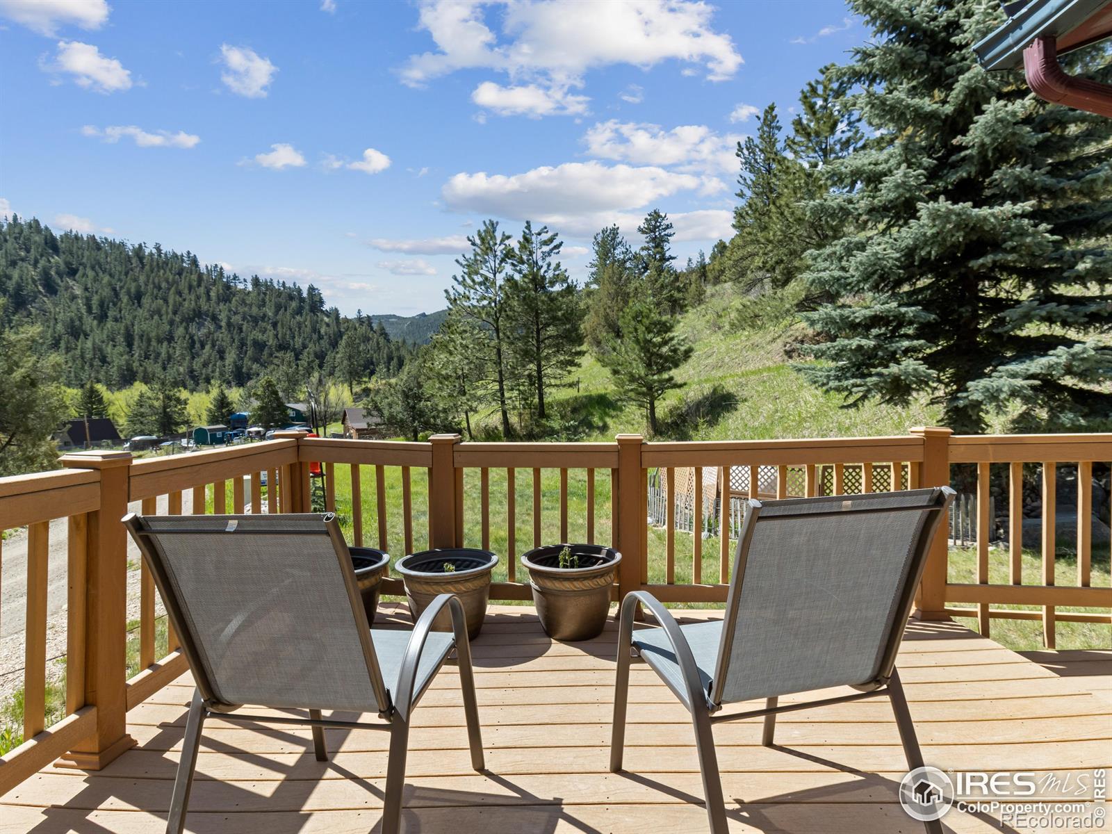 MLS Image #8 for 169  streamside drive,glen haven, Colorado