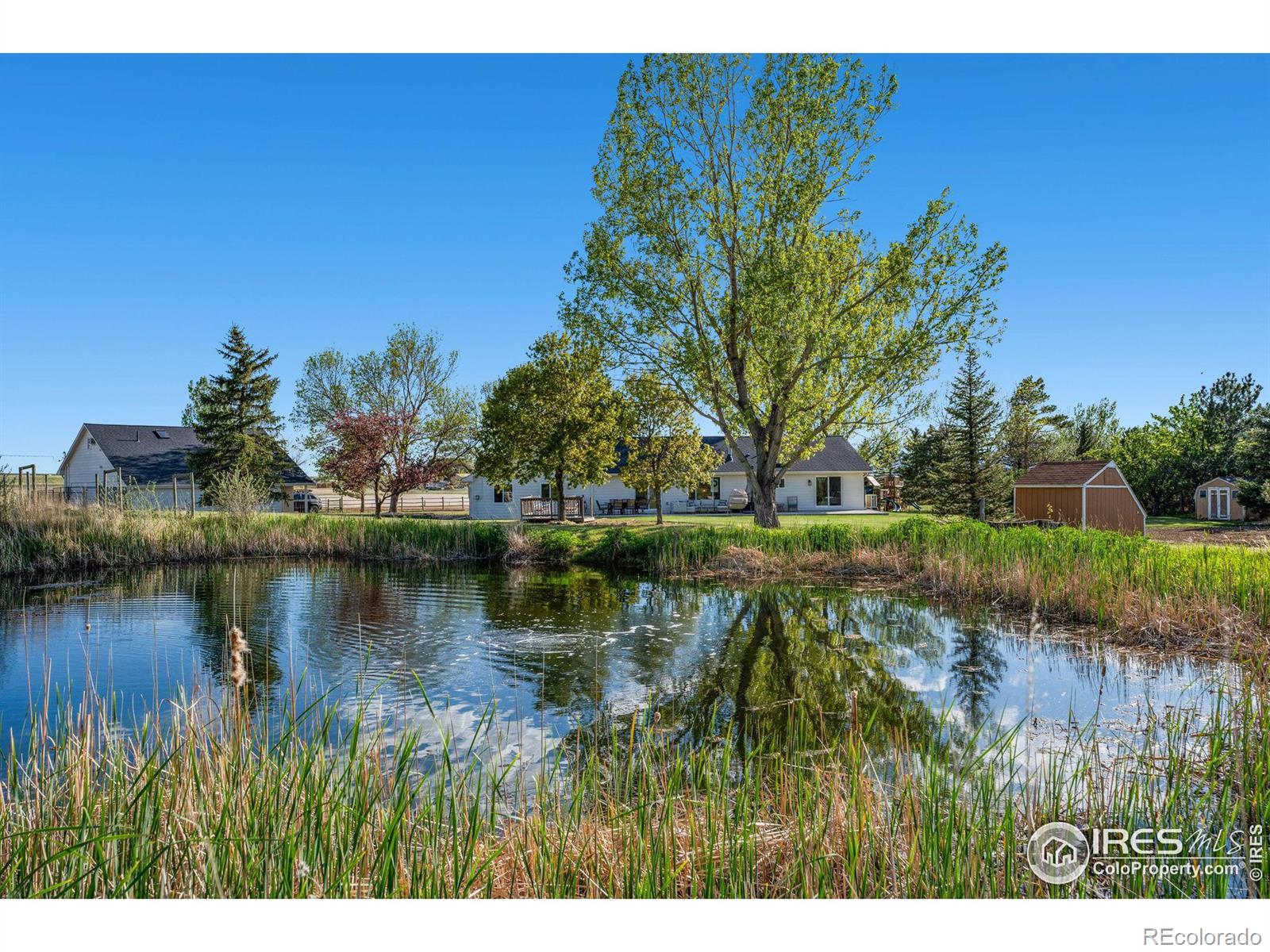 MLS Image #1 for 6280 e county road 60 ,fort collins, Colorado