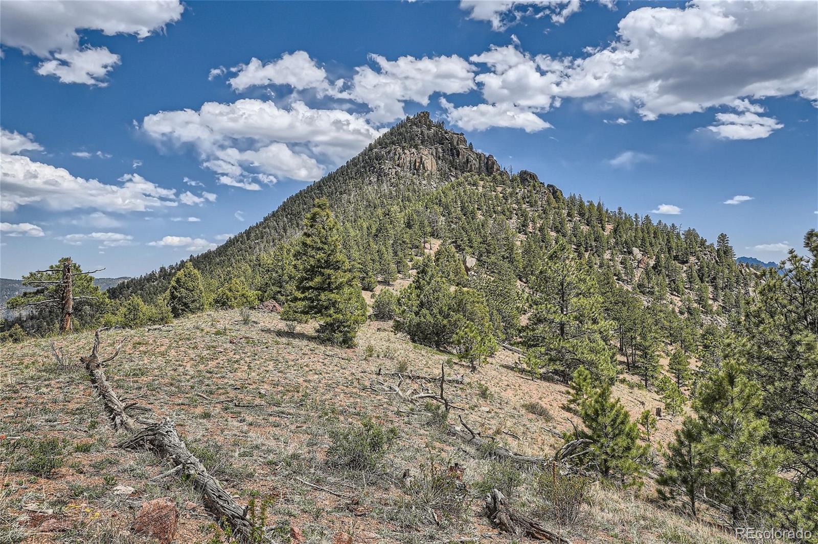 MLS Image #3 for 15854  cathedral trail,conifer, Colorado