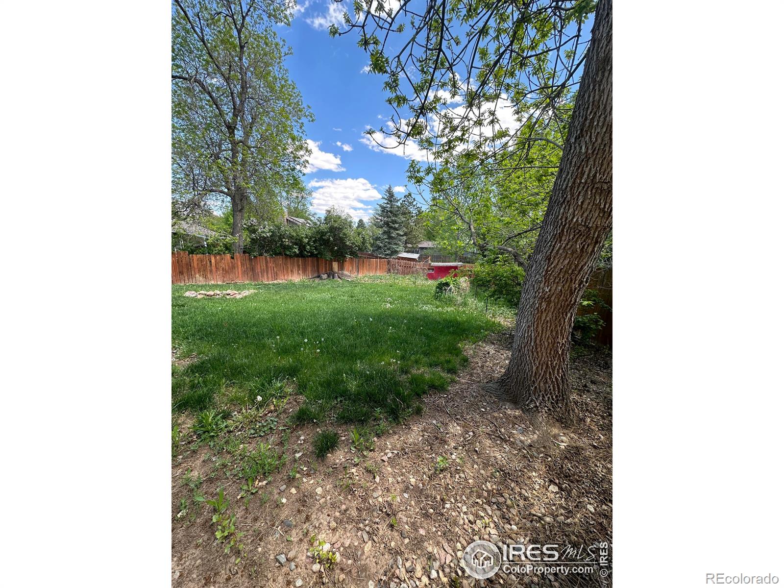 MLS Image #13 for 806  pear street,fort collins, Colorado
