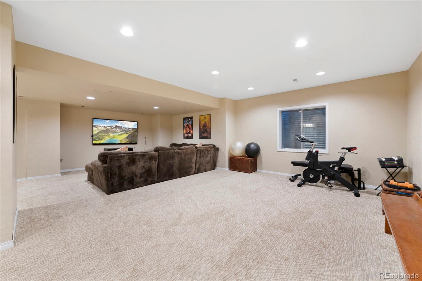 MLS Image #30 for 7781 s glencoe court,centennial, Colorado