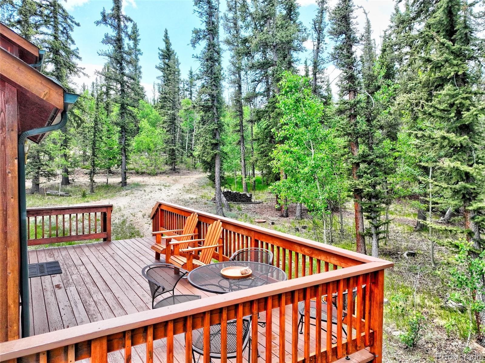 MLS Image #17 for 315  haida lane,como, Colorado