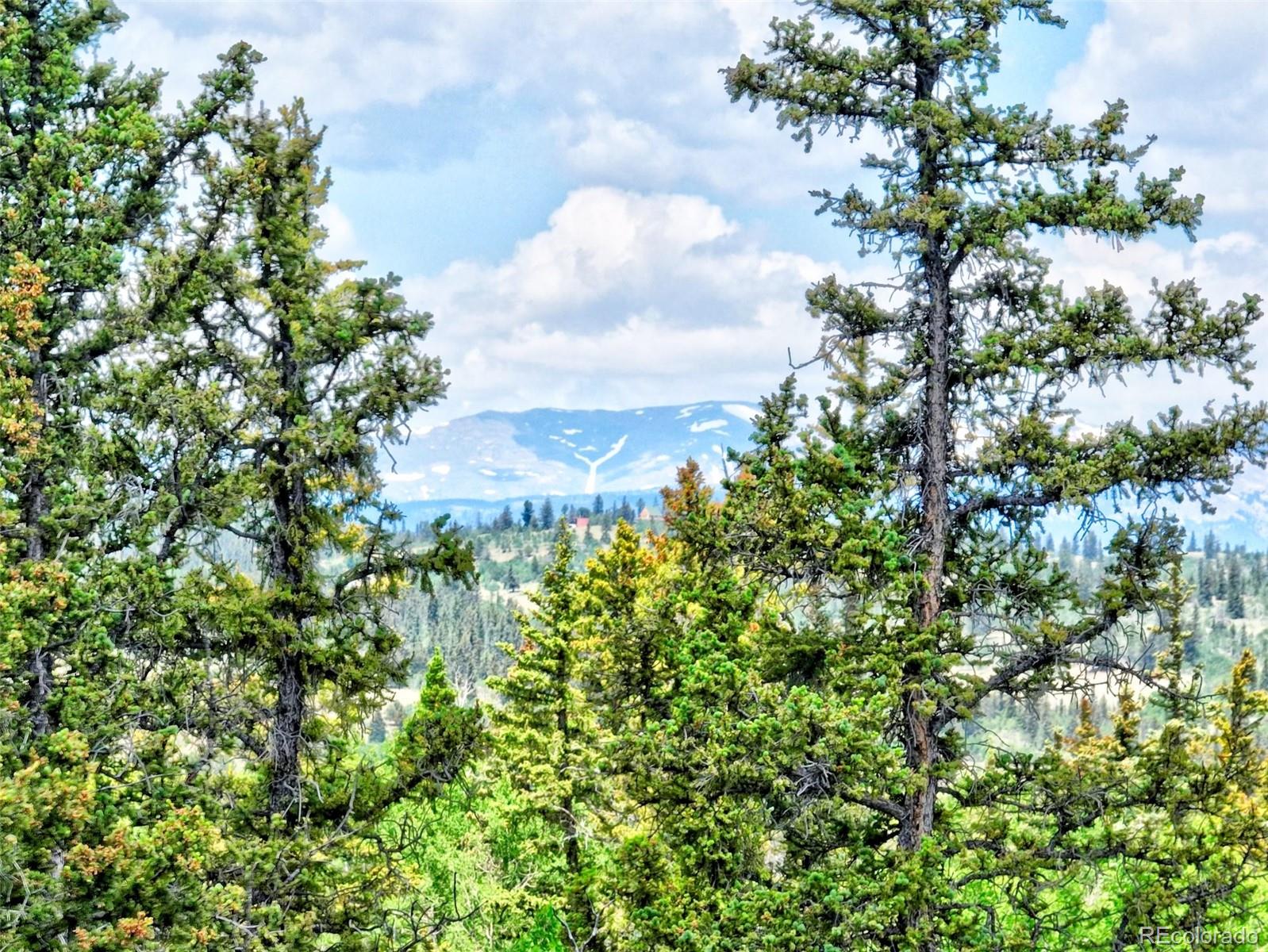 MLS Image #18 for 315  haida lane,como, Colorado