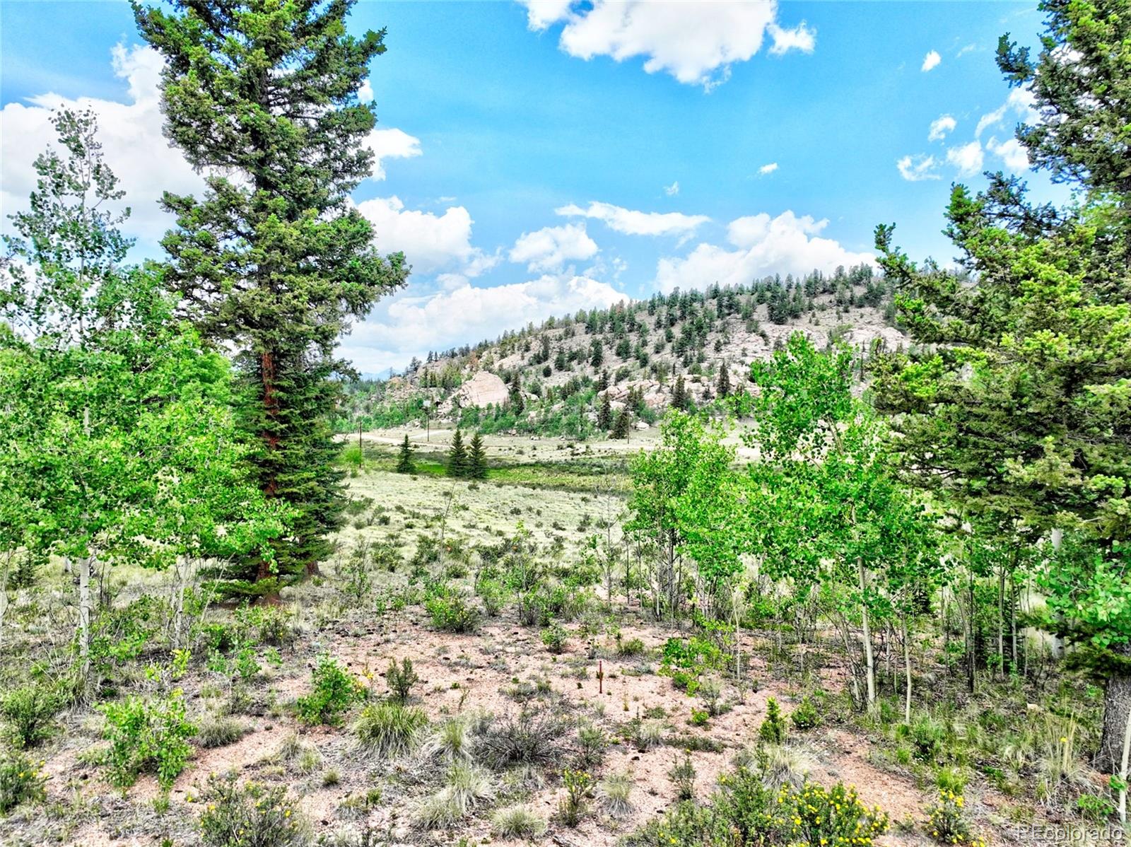 MLS Image #21 for 315  haida lane,como, Colorado