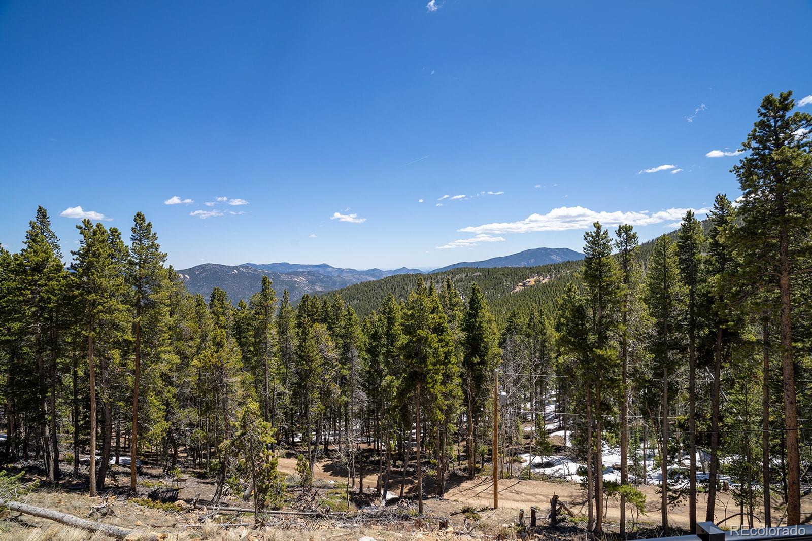 MLS Image #22 for 4850 s spring gulch road,idaho springs, Colorado