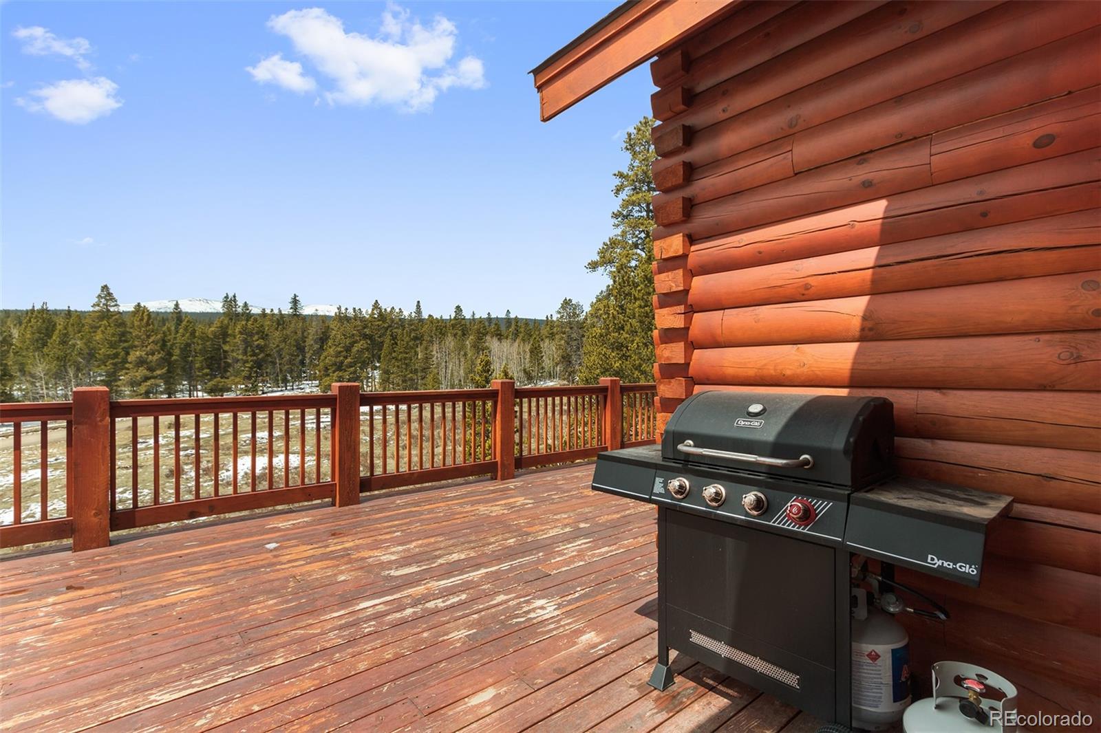 MLS Image #11 for 1477  lakeside drive,fairplay, Colorado