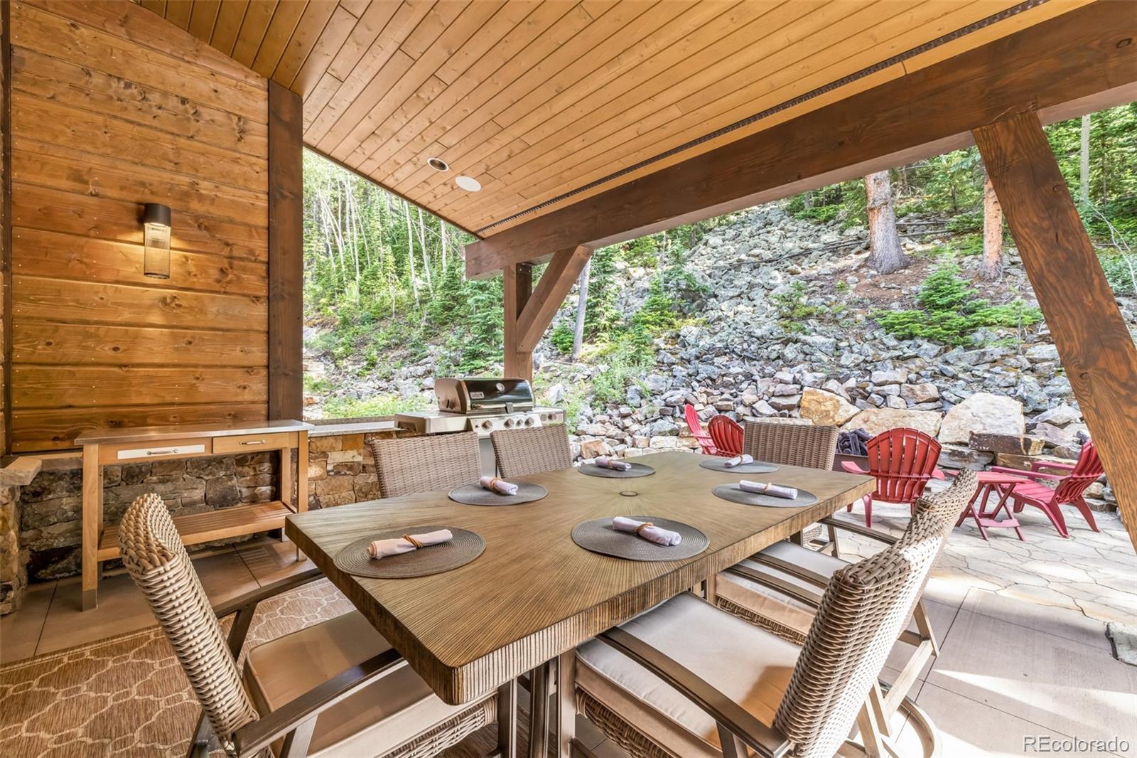 MLS Image #13 for 1003  boreas pass road,breckenridge, Colorado