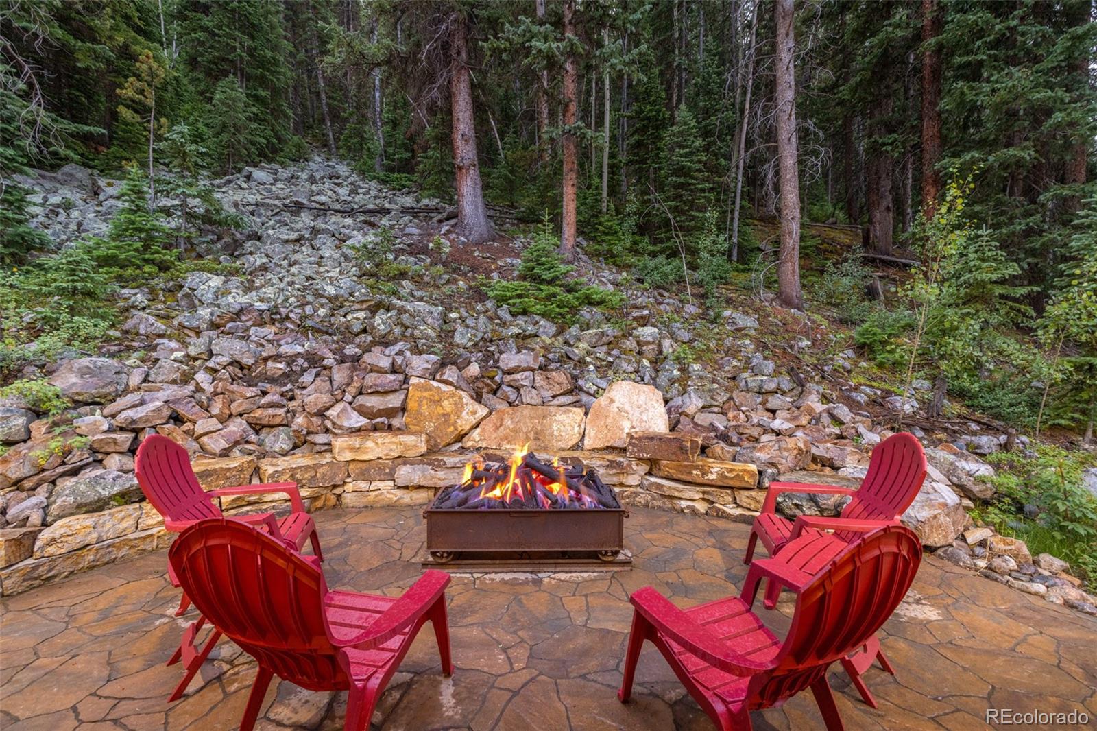 MLS Image #14 for 1003  boreas pass road,breckenridge, Colorado