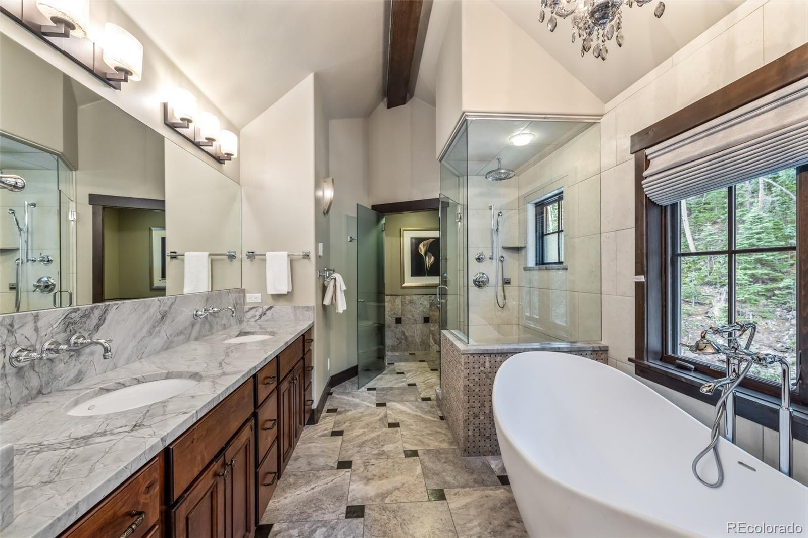 MLS Image #40 for 1003  boreas pass road,breckenridge, Colorado