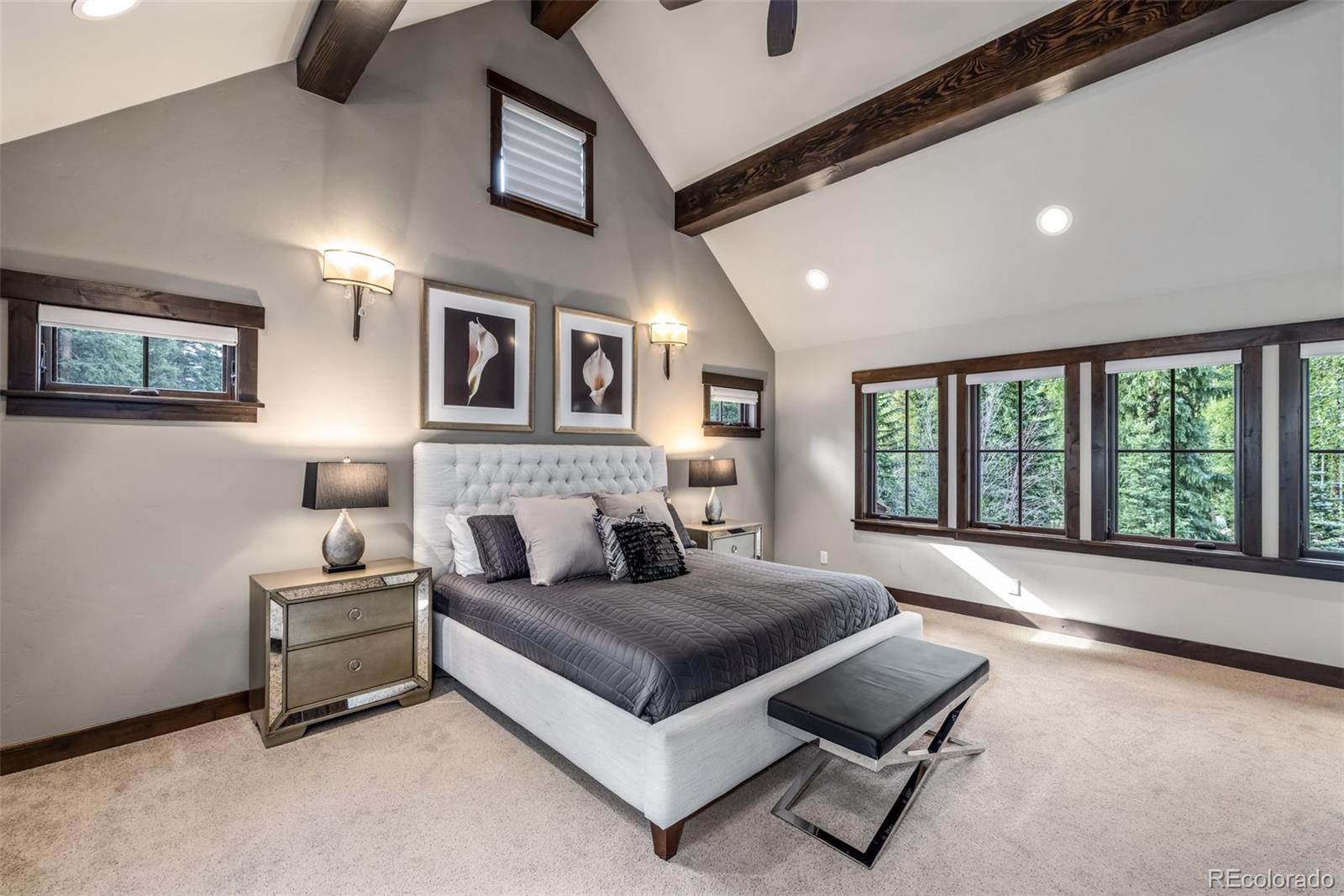 MLS Image #42 for 1003  boreas pass road,breckenridge, Colorado