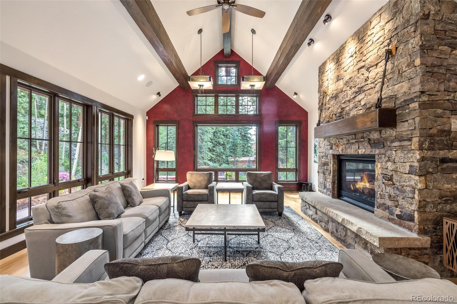 MLS Image #7 for 1003  boreas pass road,breckenridge, Colorado