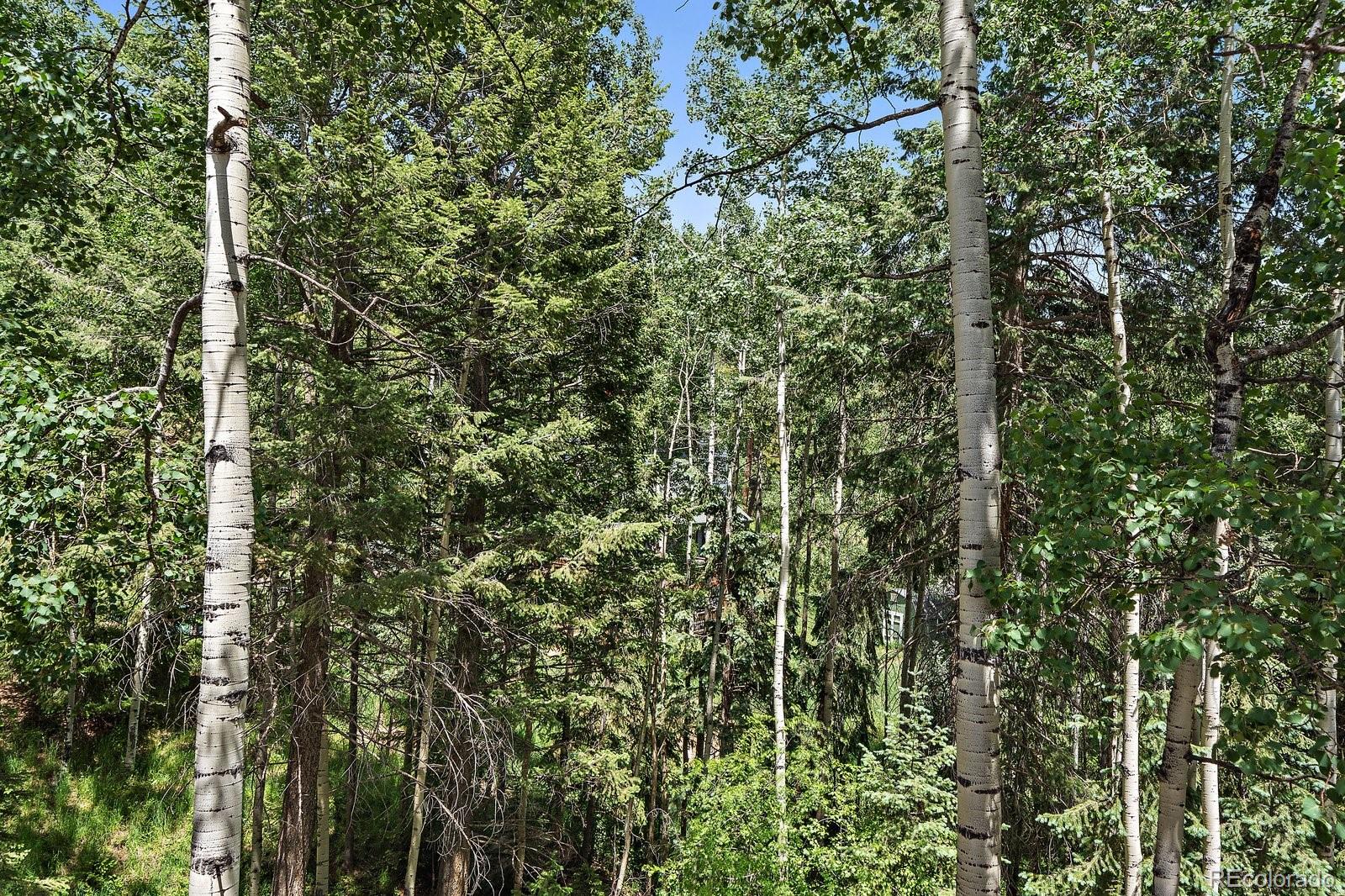 MLS Image #29 for 32292  lodgepole drive,evergreen, Colorado