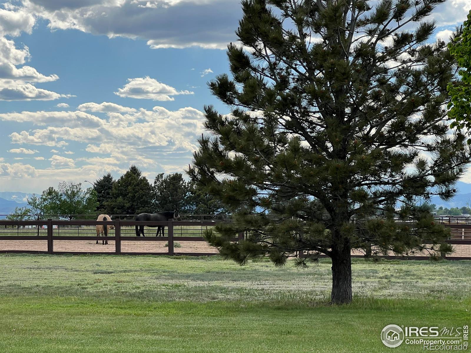 MLS Image #37 for 37001  soaring eagle circle,severance, Colorado