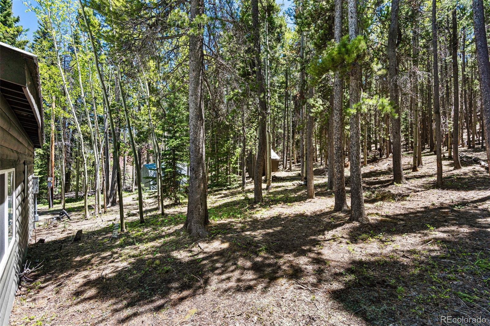 MLS Image #16 for 2334  sinton road,evergreen, Colorado