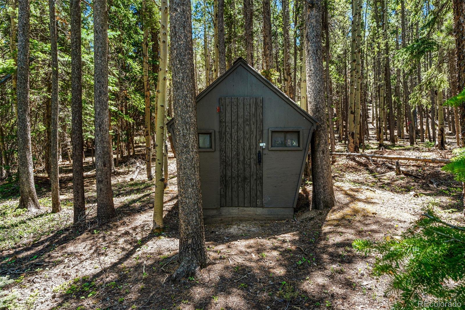 MLS Image #18 for 2334  sinton road,evergreen, Colorado