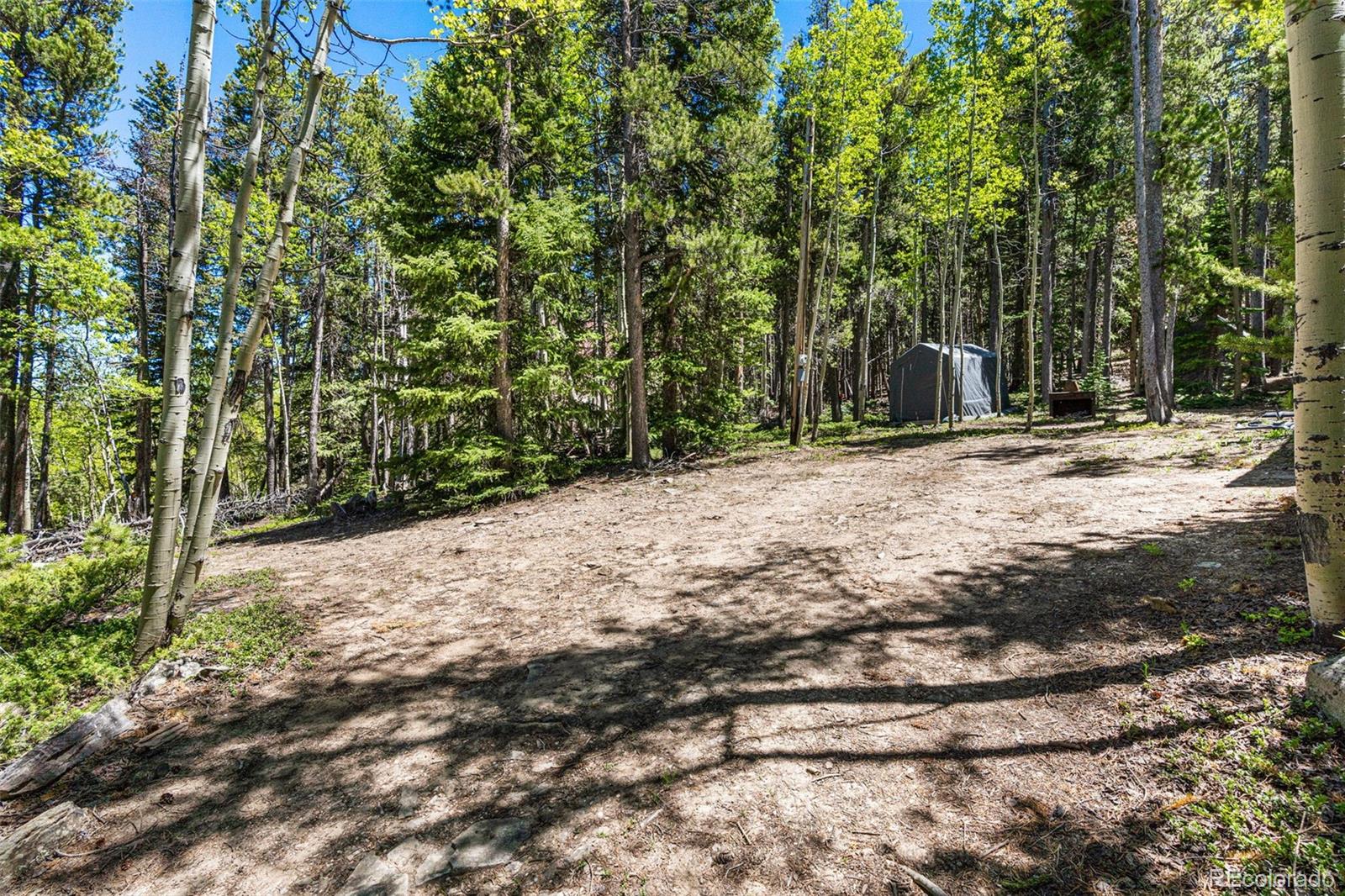 MLS Image #19 for 2334  sinton road,evergreen, Colorado