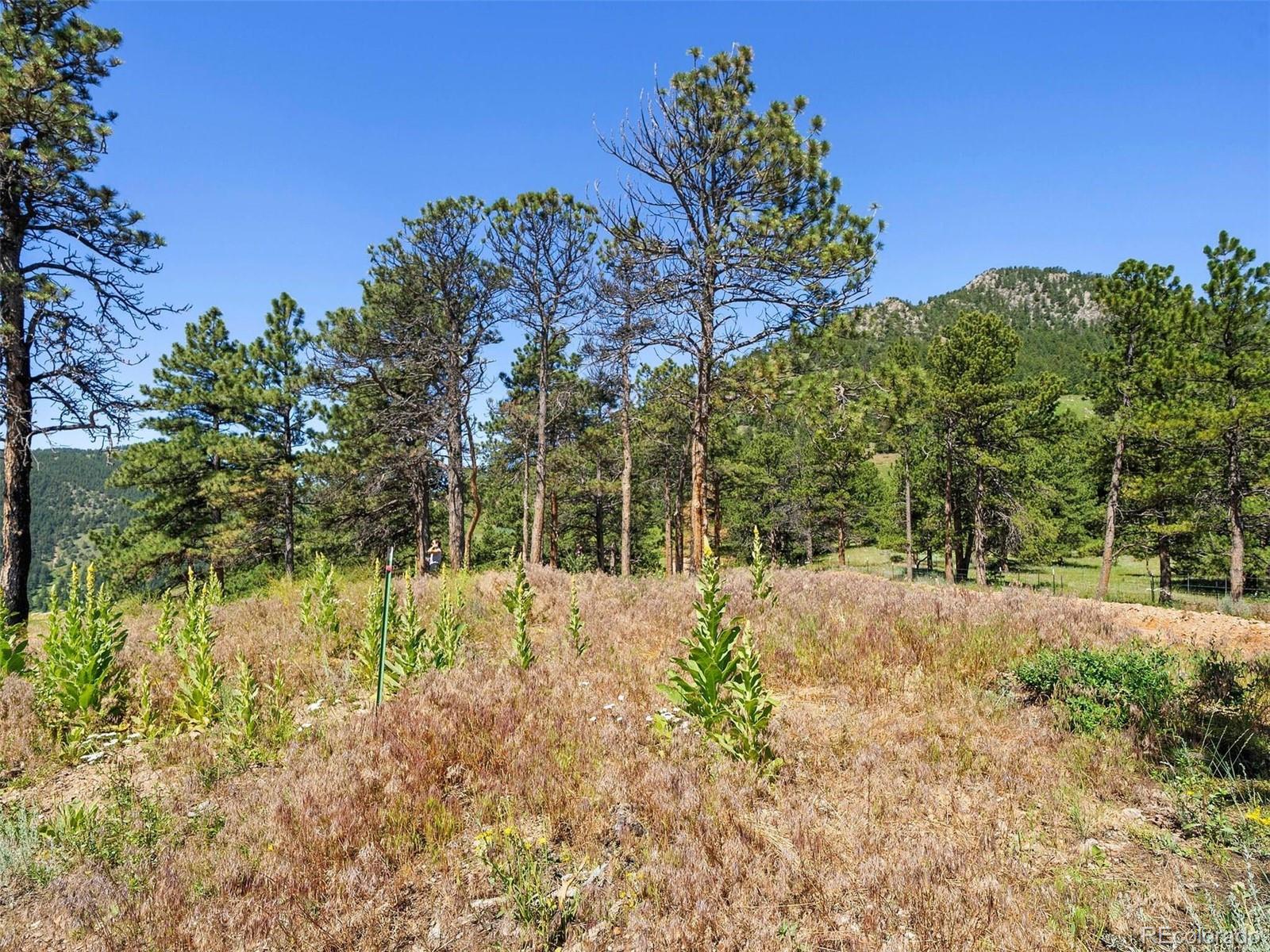 MLS Image #10 for 53  canyon pines drive,arvada, Colorado