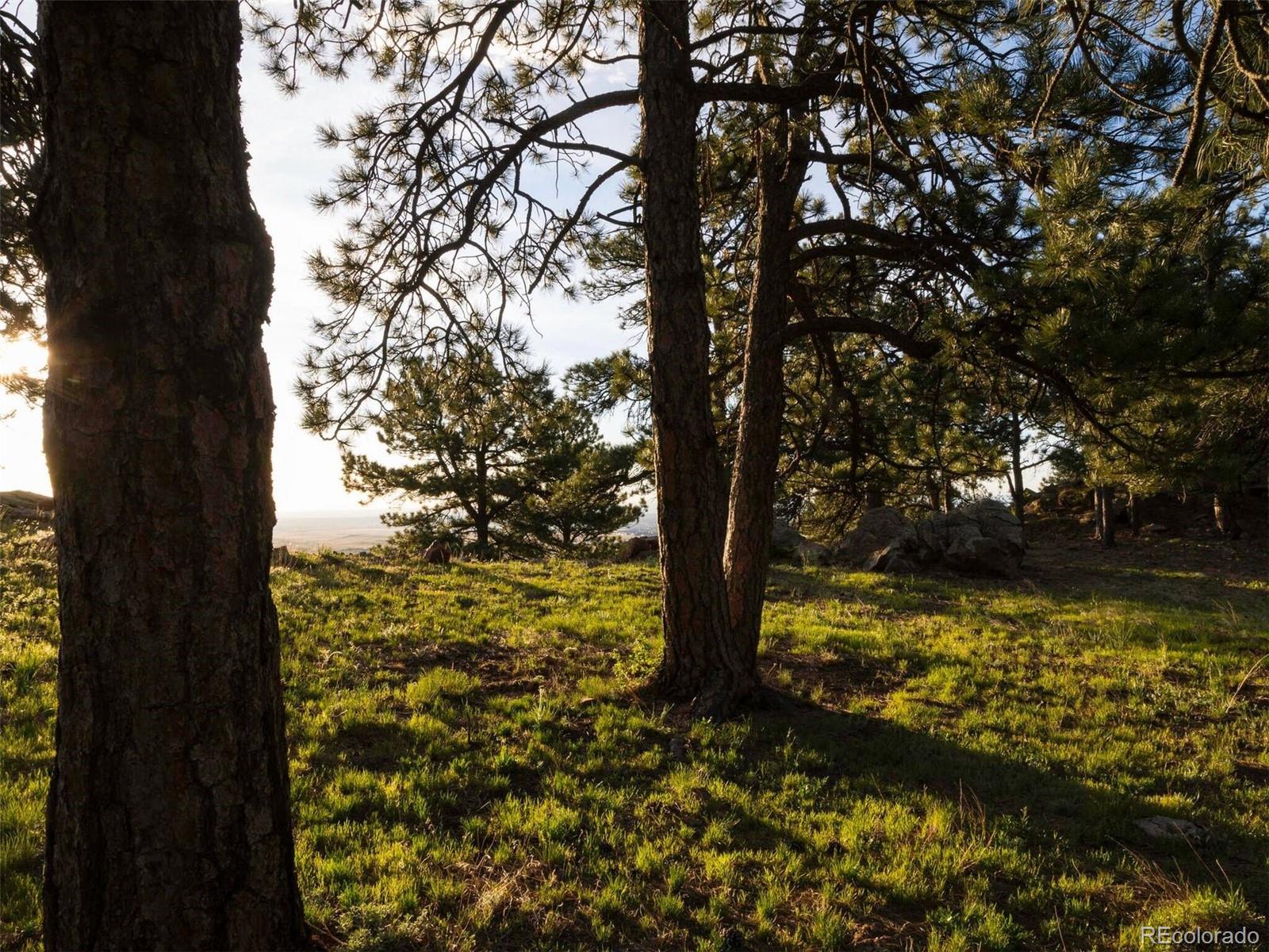 MLS Image #20 for 53  canyon pines drive,arvada, Colorado