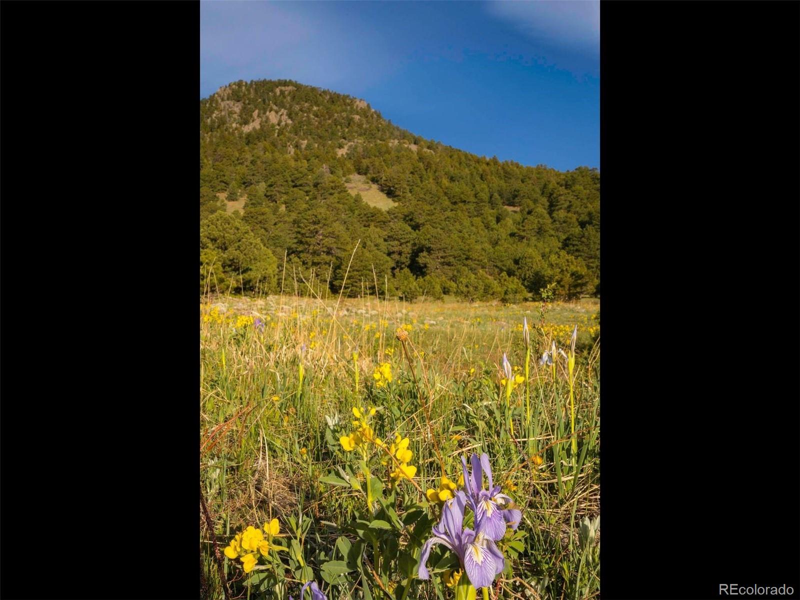 MLS Image #36 for 53  canyon pines drive,arvada, Colorado