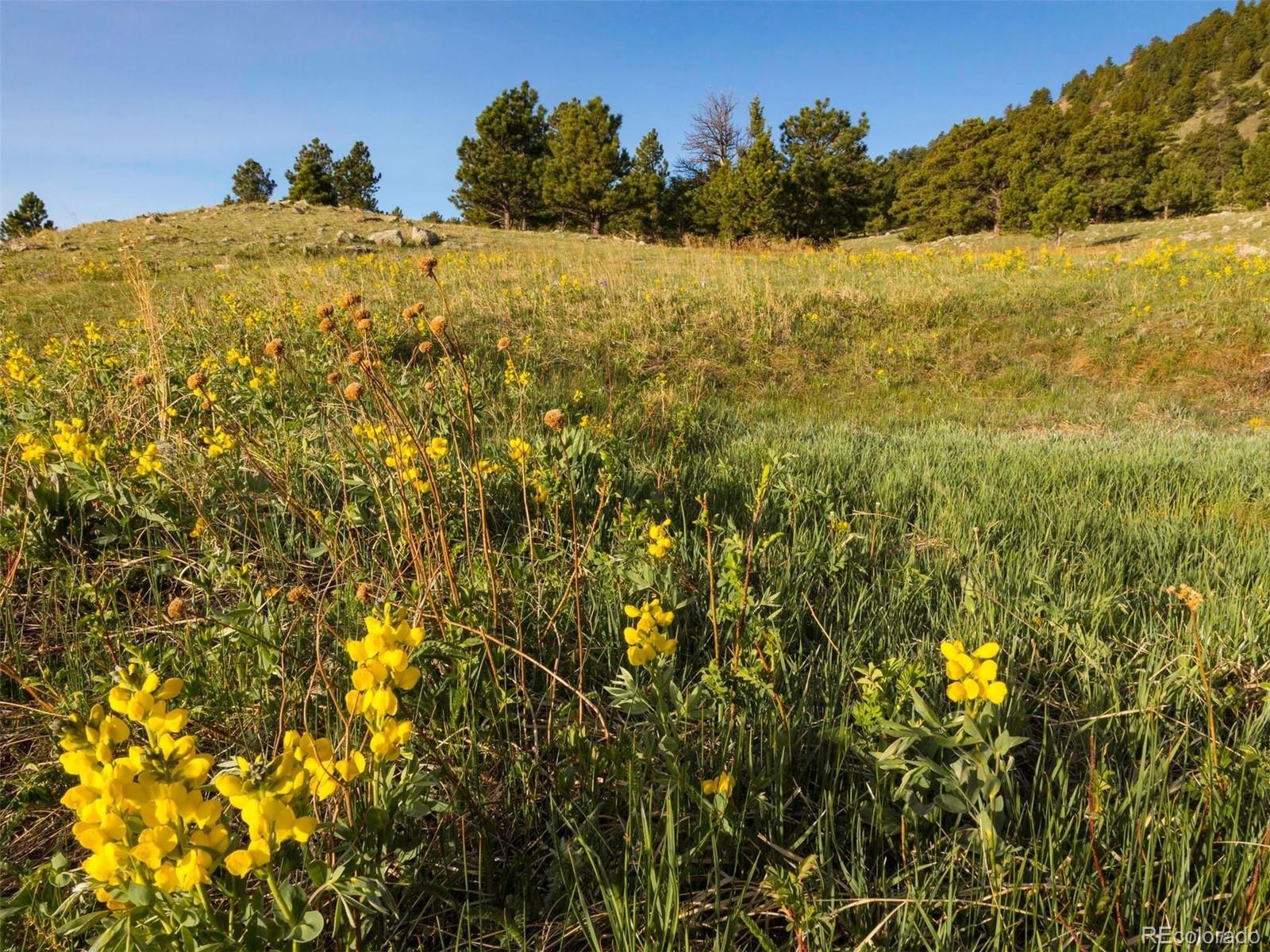 MLS Image #39 for 53  canyon pines drive,arvada, Colorado