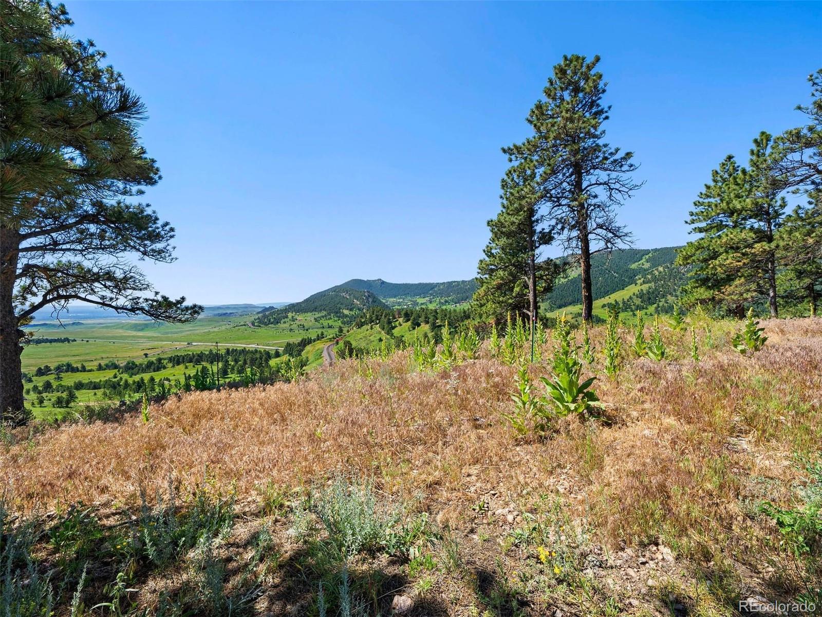 MLS Image #9 for 53  canyon pines drive,arvada, Colorado