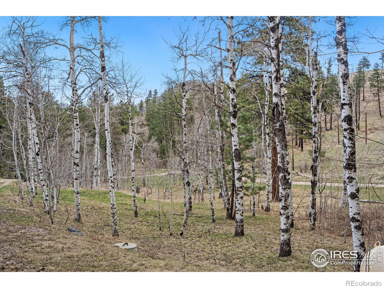 MLS Image #34 for 629  davis ranch road,bellvue, Colorado