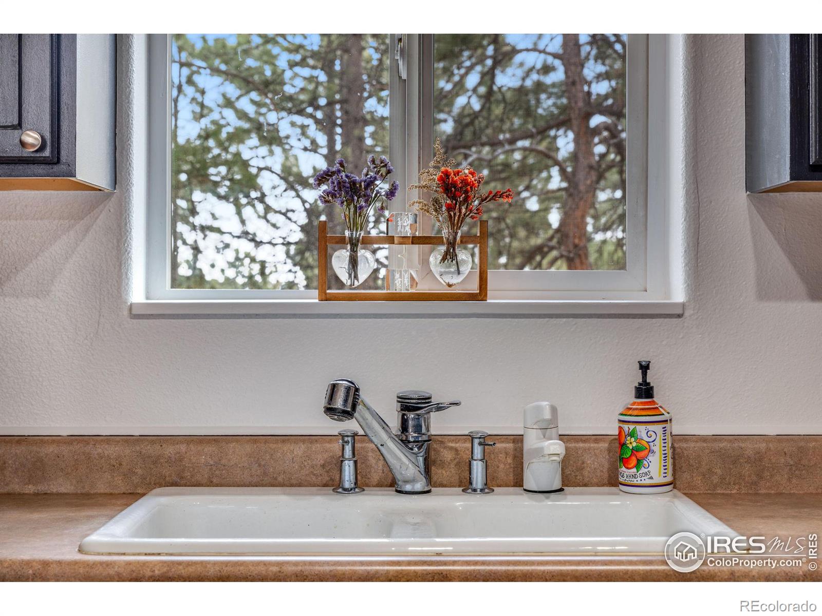 MLS Image #10 for 3038  yucca drive,evergreen, Colorado
