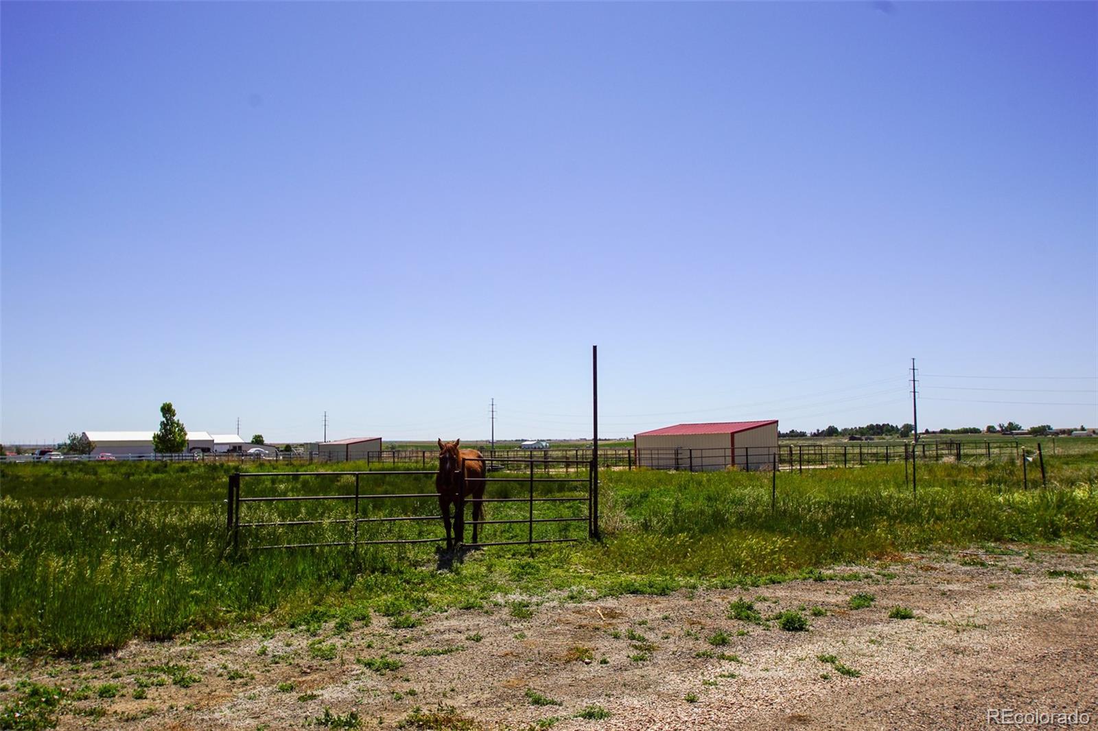 MLS Image #26 for 29538  county road 6 ,keenesburg, Colorado