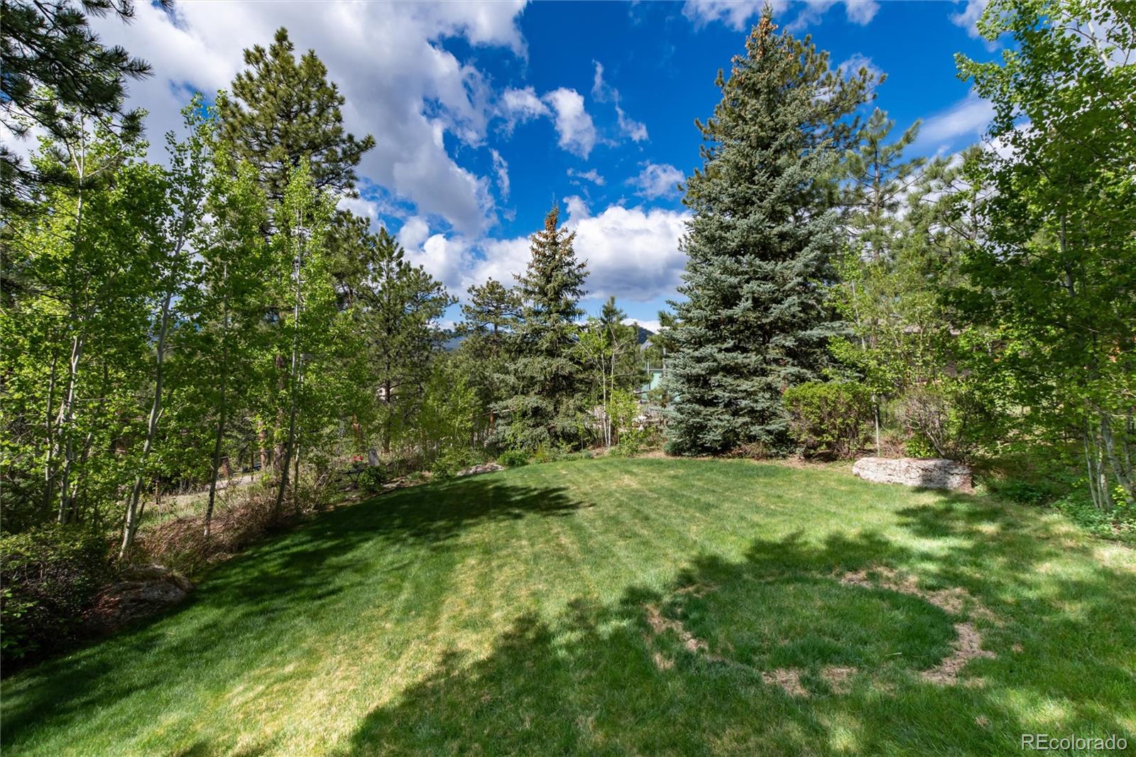 MLS Image #45 for 29432  paint brush circle,evergreen, Colorado