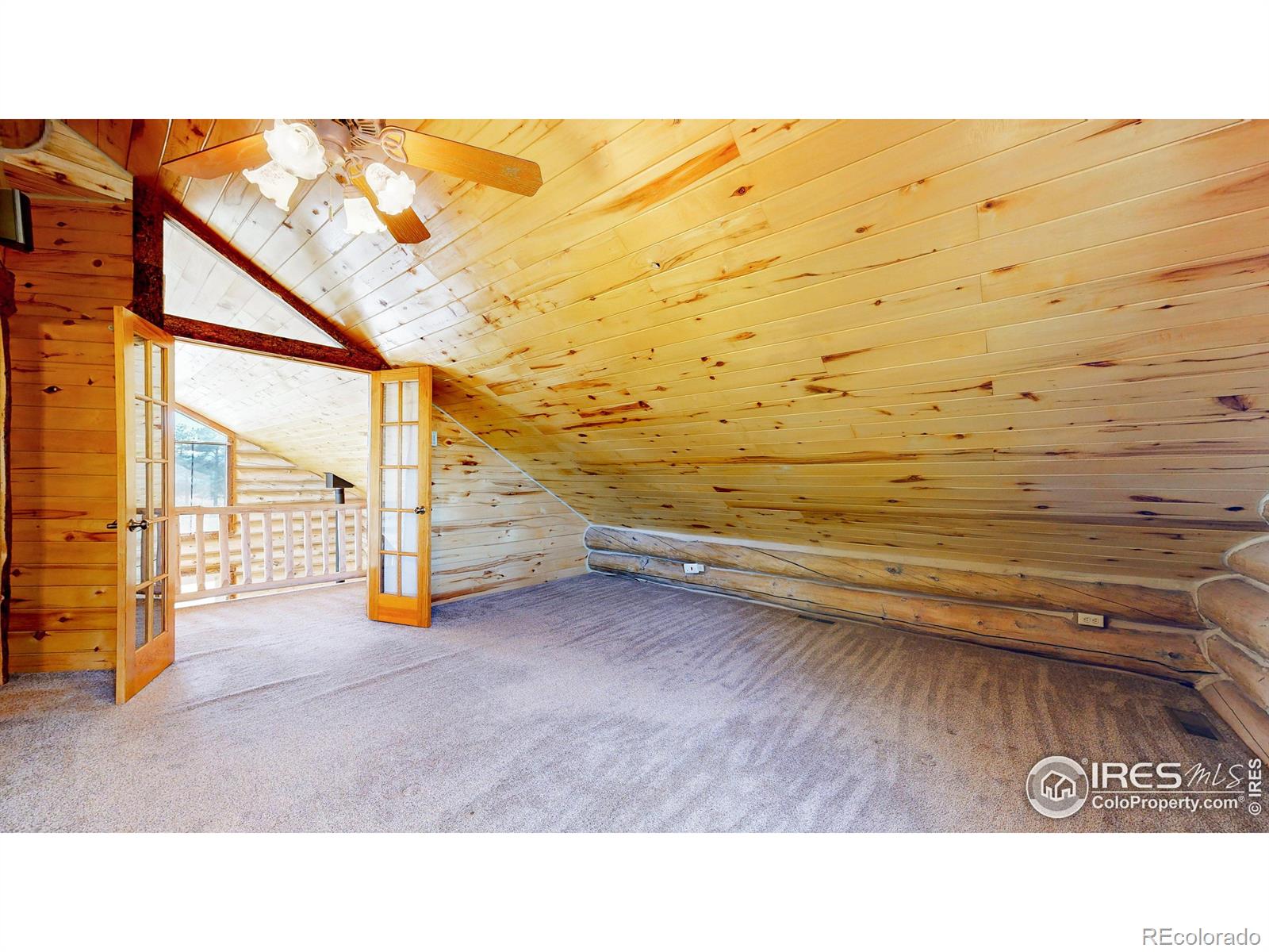 MLS Image #10 for 121  white slide mountain court,livermore, Colorado