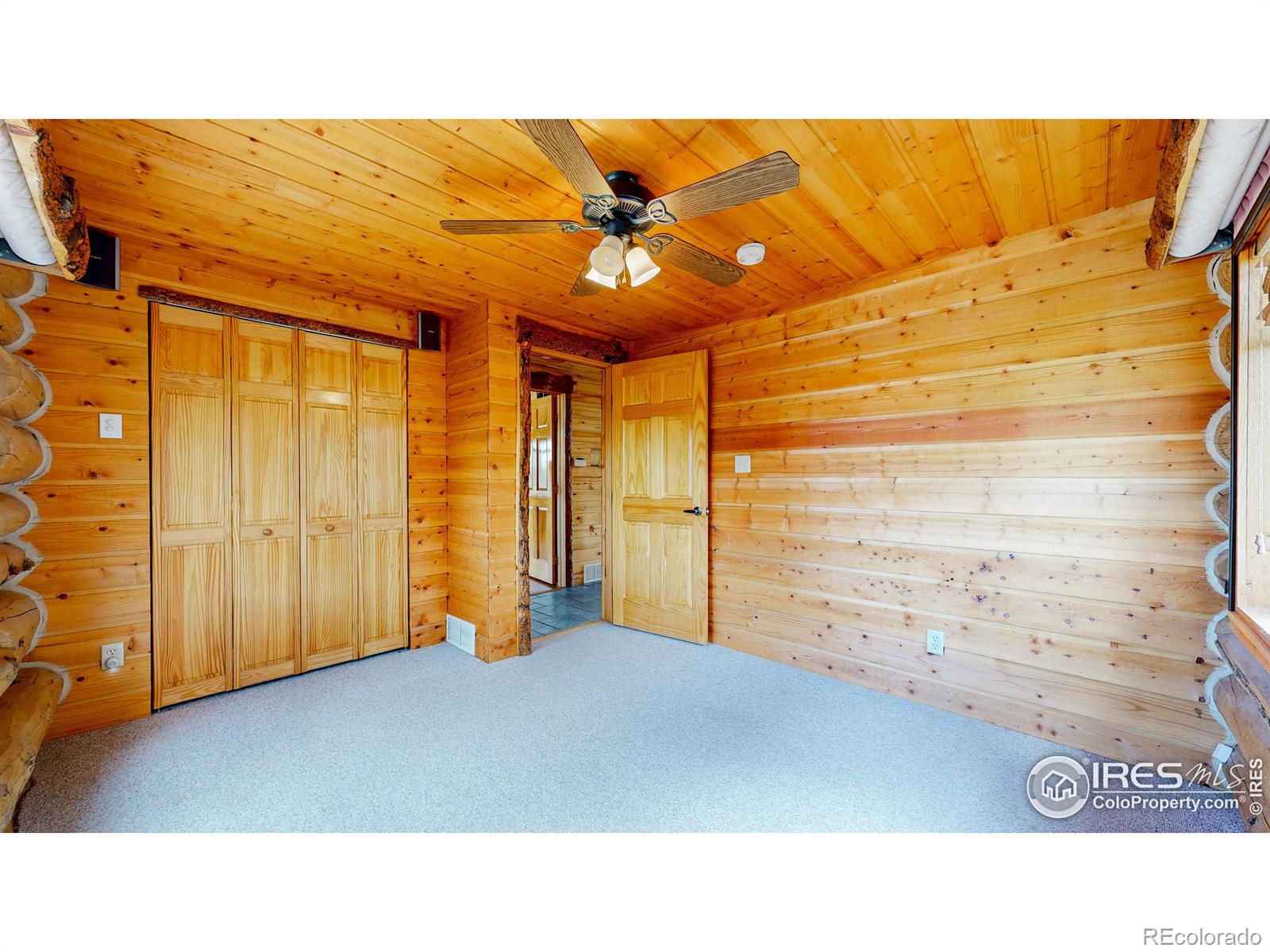 MLS Image #15 for 121  white slide mountain court,livermore, Colorado