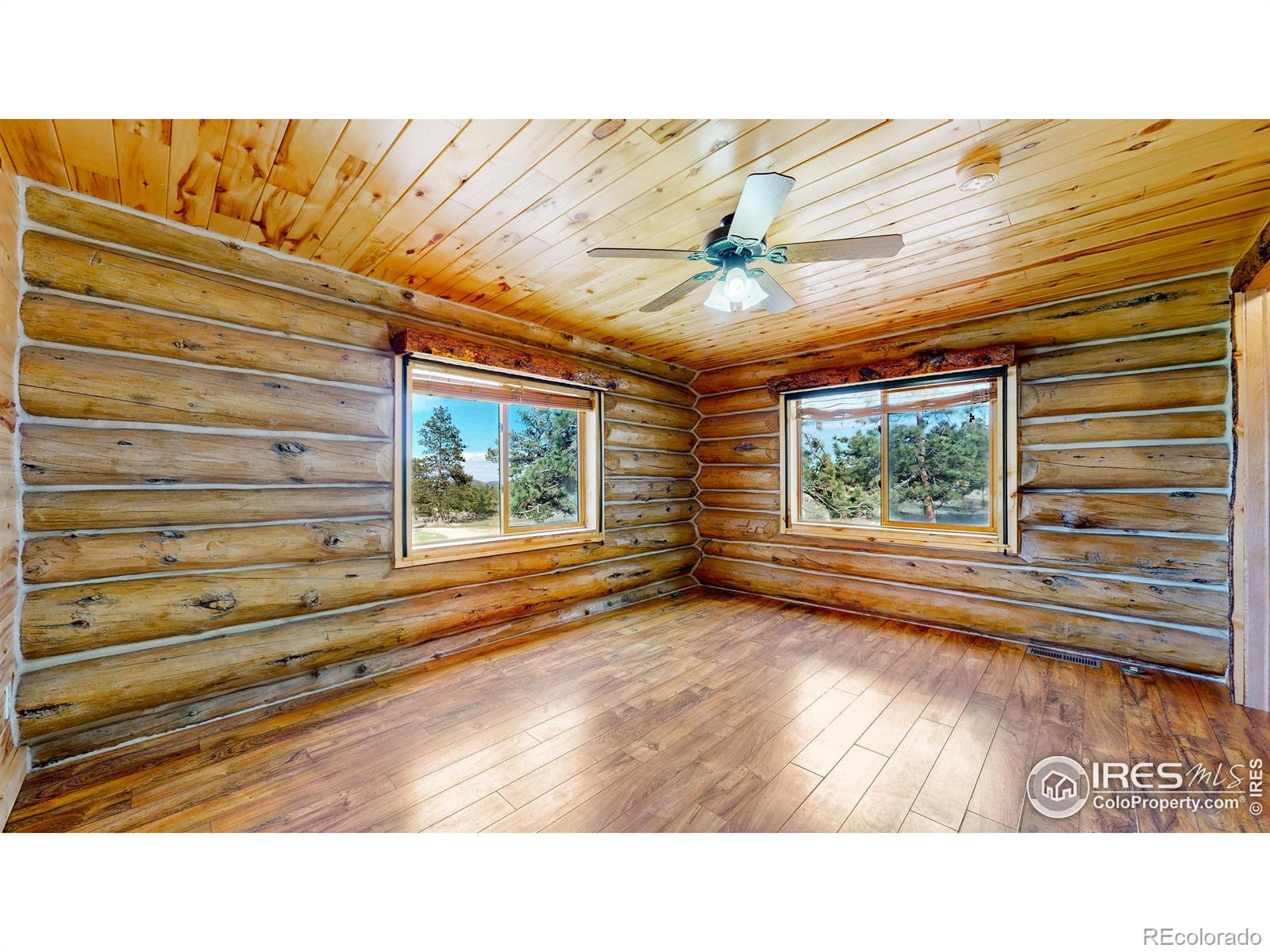 MLS Image #18 for 121  white slide mountain court,livermore, Colorado