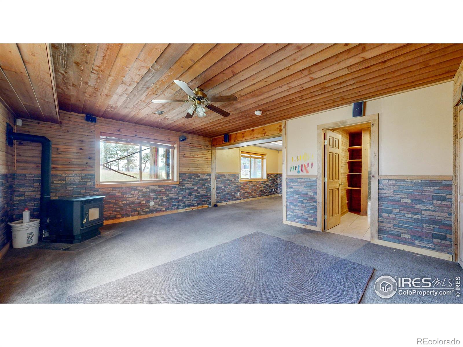 MLS Image #20 for 121  white slide mountain court,livermore, Colorado