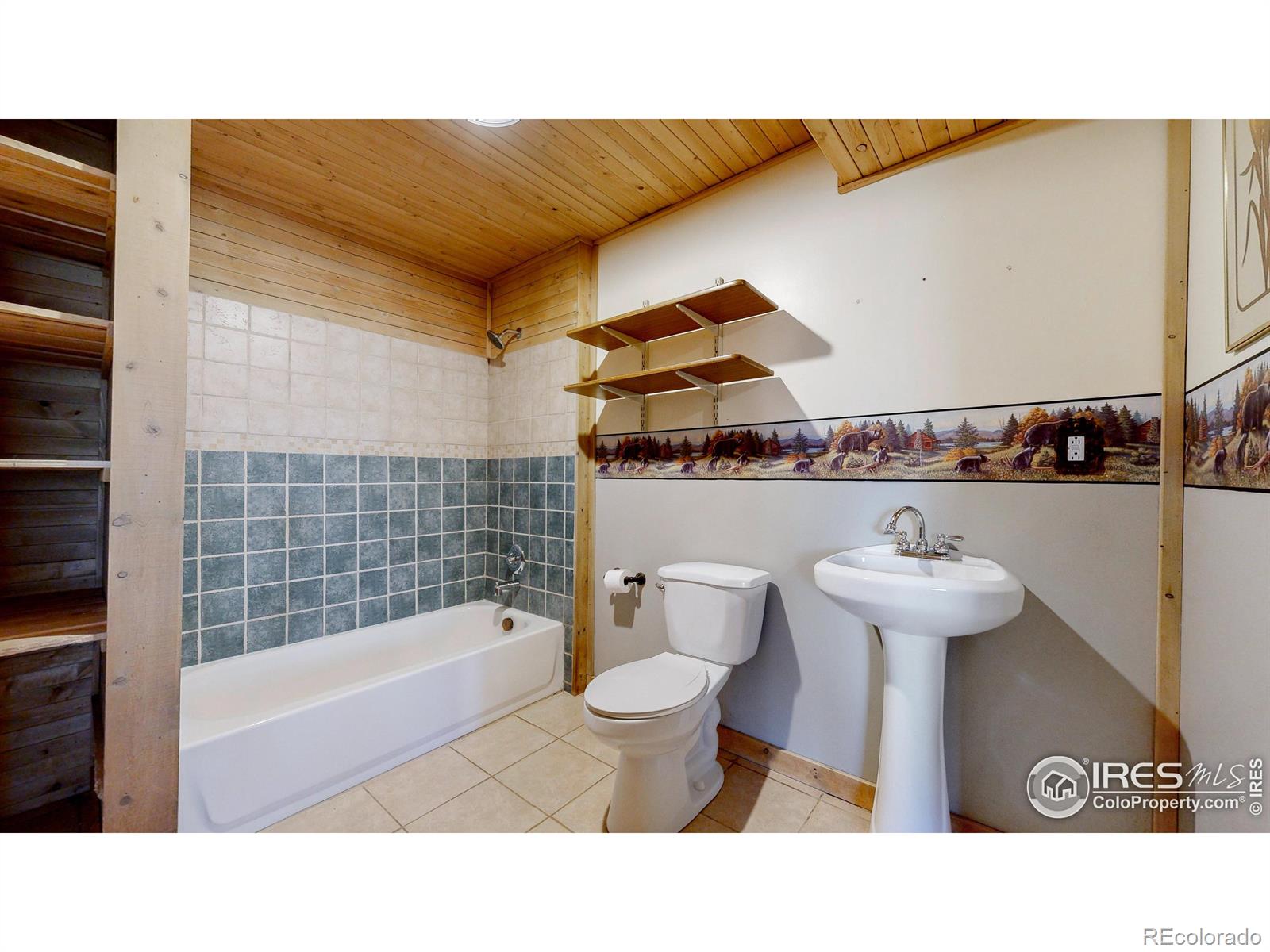 MLS Image #24 for 121  white slide mountain court,livermore, Colorado