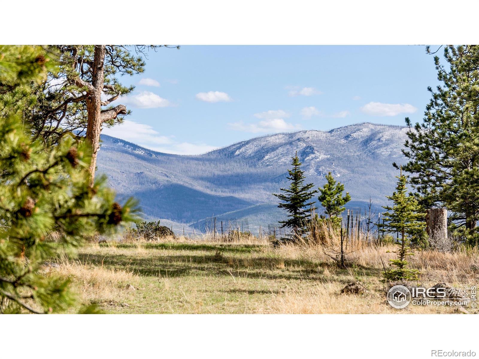 MLS Image #33 for 121  white slide mountain court,livermore, Colorado