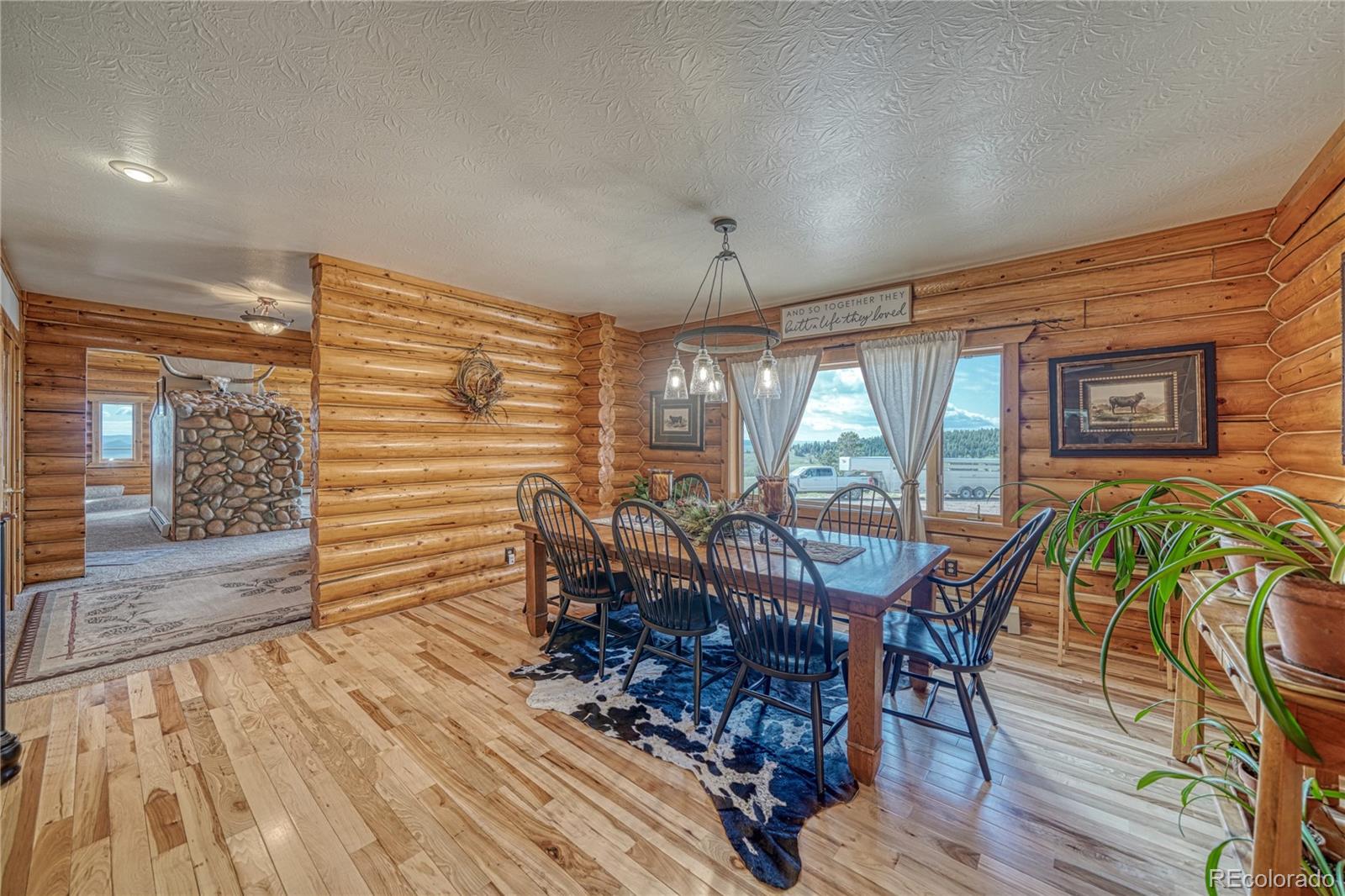 MLS Image #14 for 1900  county road 172 ,westcliffe, Colorado