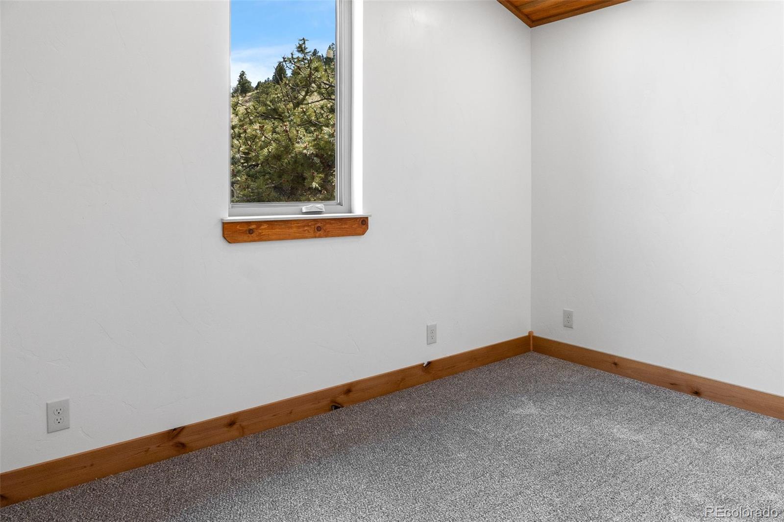 MLS Image #43 for 3415  redhill road,fairplay, Colorado