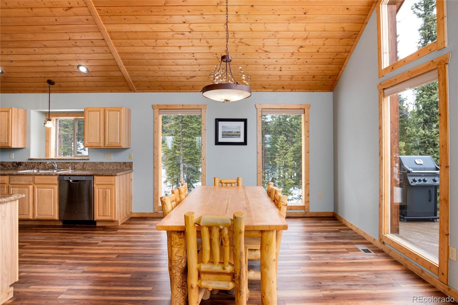 MLS Image #10 for 750  miners way,fairplay, Colorado